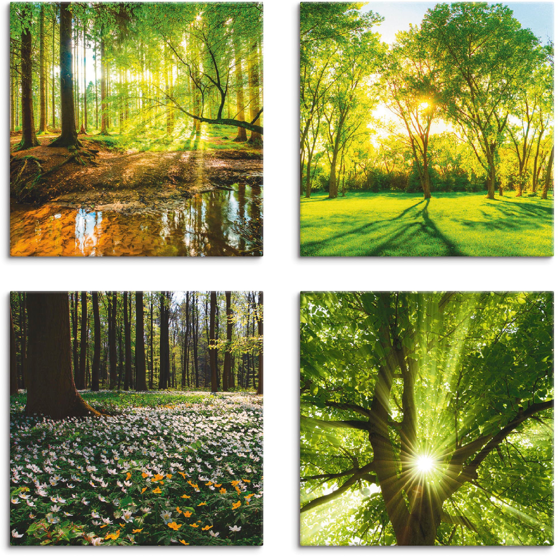 Artland Leinwandbild "Wald Bach Frühling Windrosen Sonne Baum", Wald, (4 St.), 4er Set, verschiedene Größen