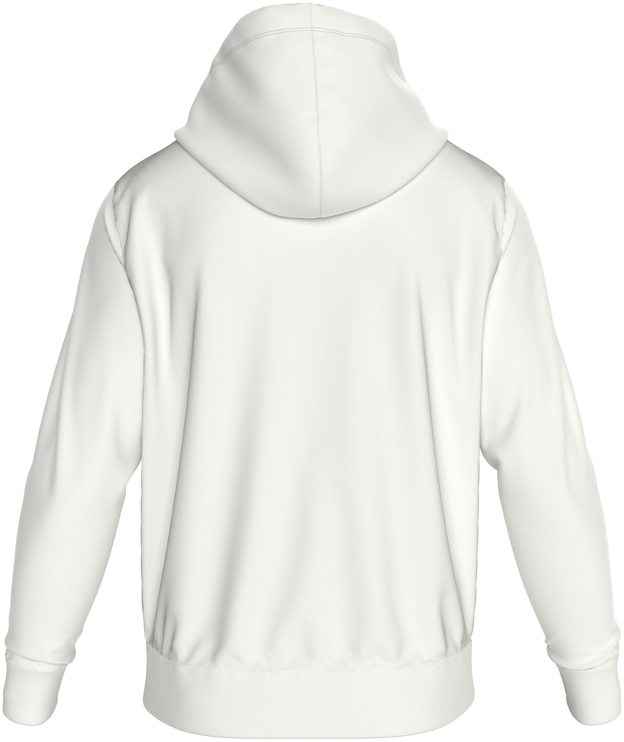 Calvin Klein Kapuzensweatshirt »BOX STRIPED LOGO HOODIE«, mit Logoschriftzug