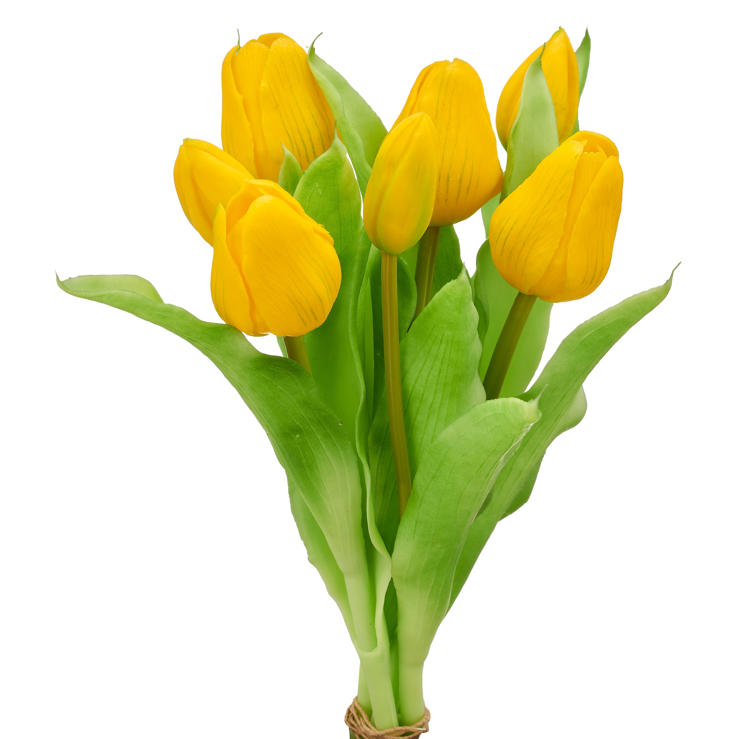 Creativ green »Tulpenbund« in schöner Farbe