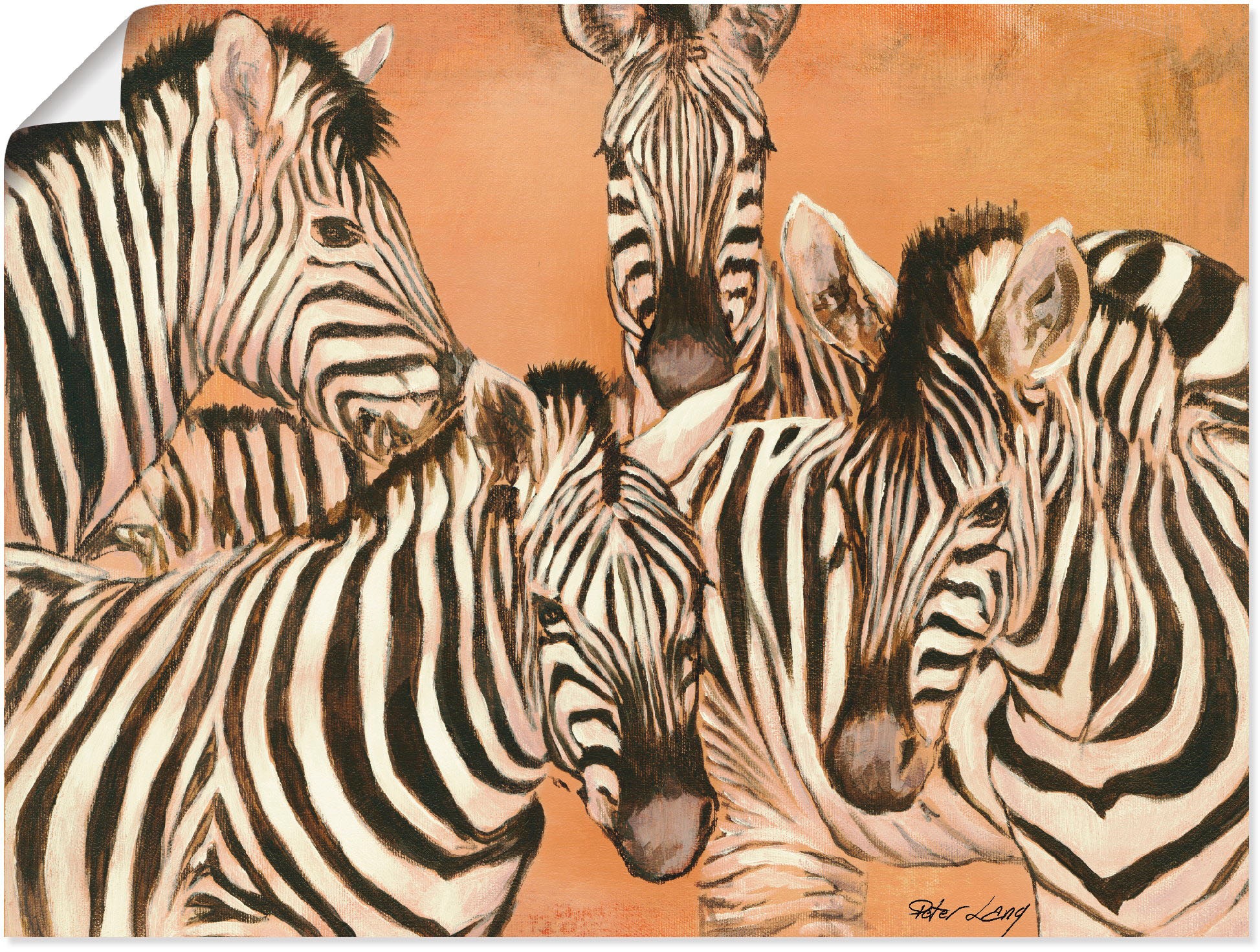 Artland Wandbild "Zebras", Wildtiere, (1 St.), als Leinwandbild, Poster in günstig online kaufen