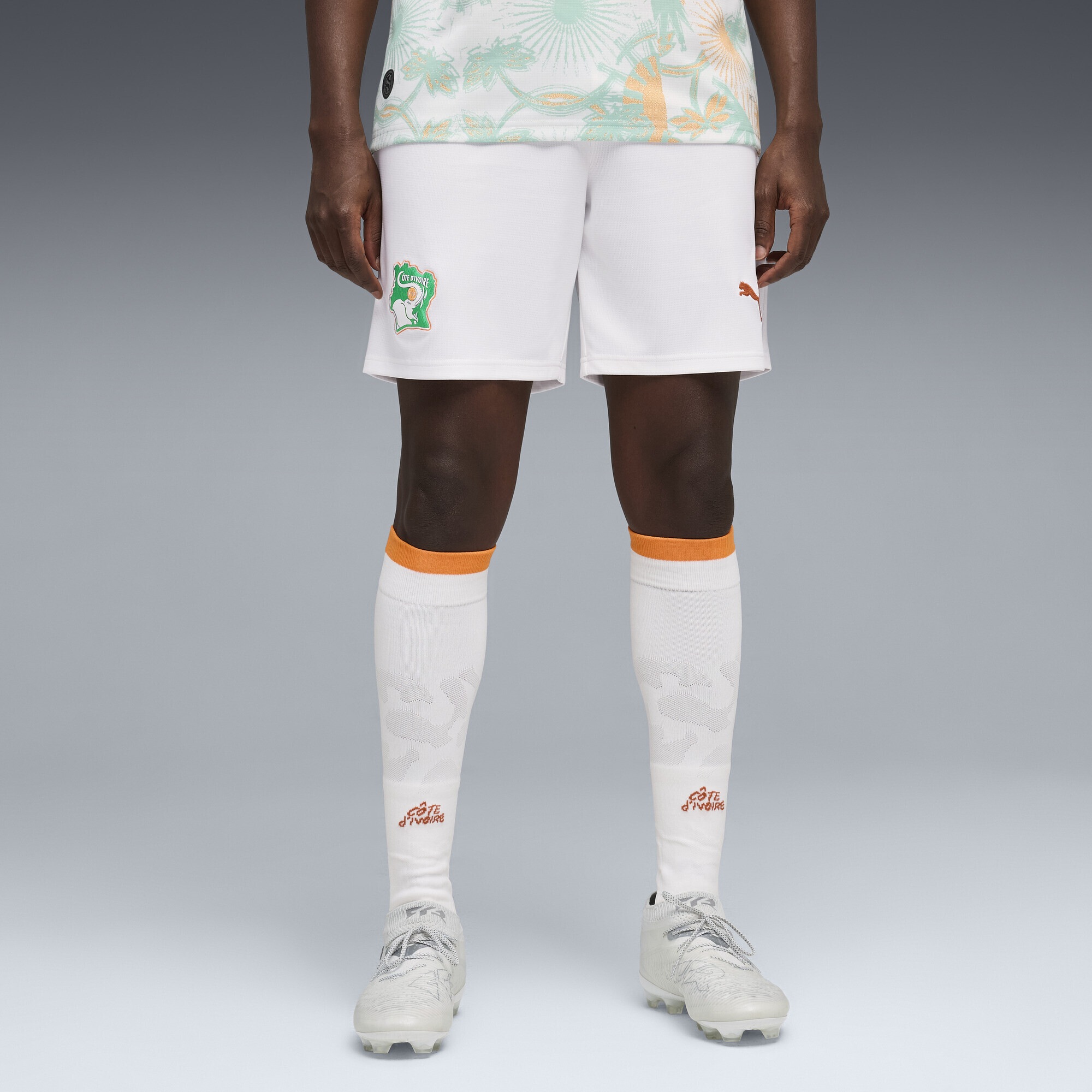 PUMA Sporthose »Elfenbeinküste Shorts Herren«