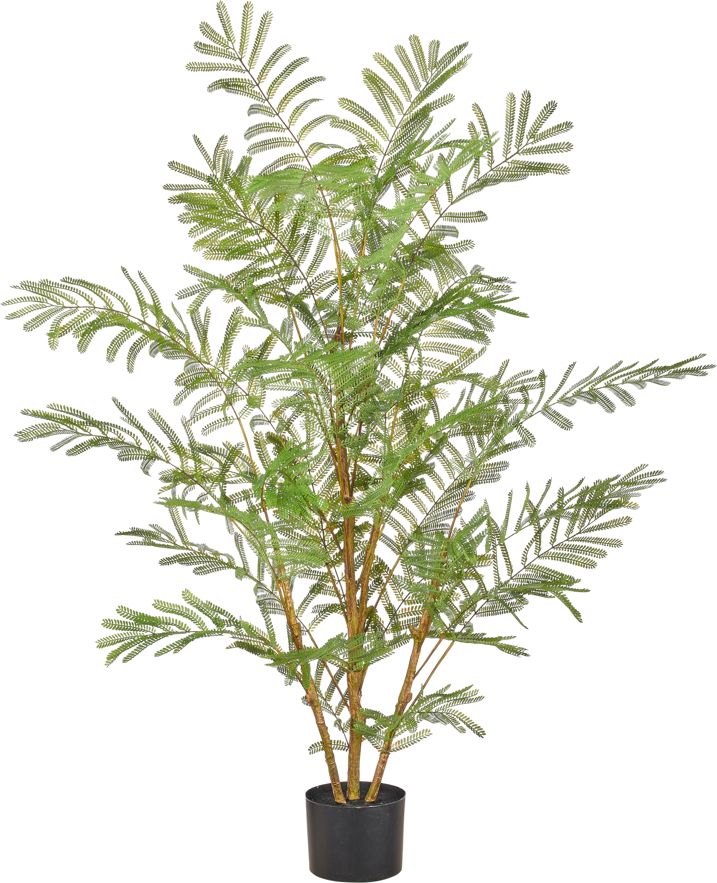 Creativ green Kunstbaum "Jacaranda mimosifolia" mit naturgetreu gestaltetem Blattwerk
