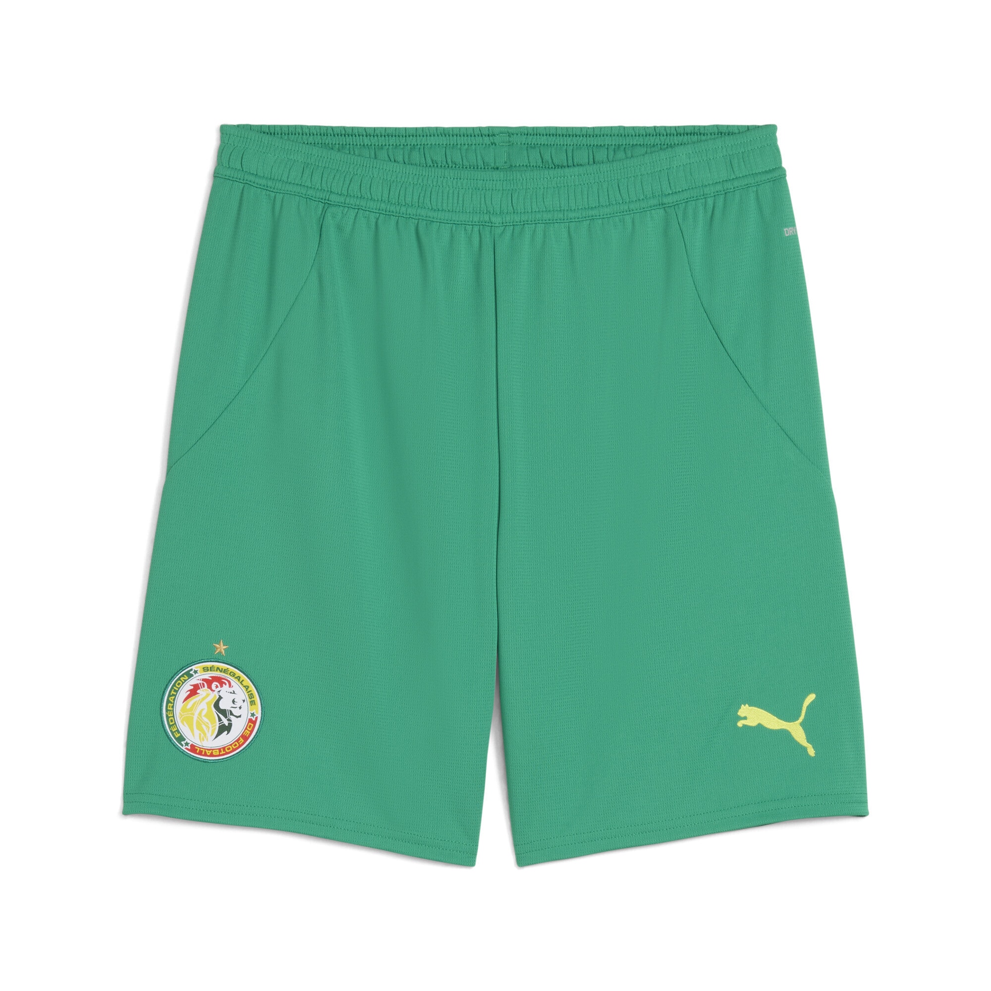 PUMA Damen Sporthose "Senegal 2025 Shorts Herren", grün, Gr. XL, colorblocking, Obermaterial: 100% Polyester, Hosen