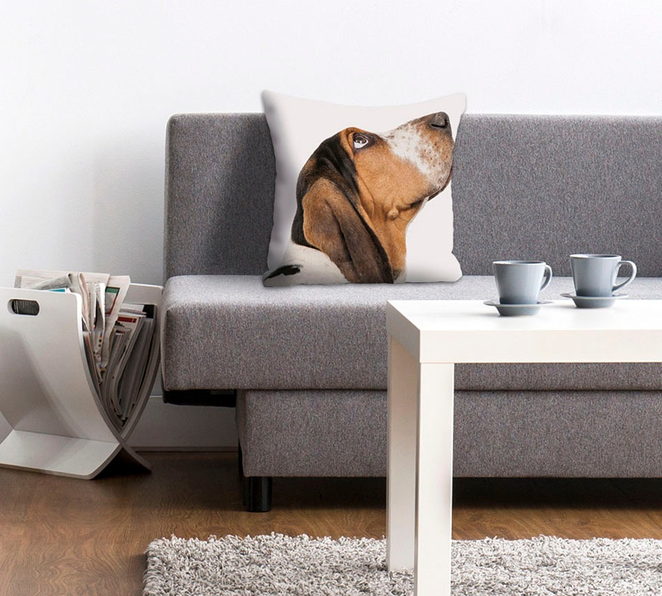 queence Dekokissen "Jens" Hund mit Dackelblick, Kissenhülle ohne Füllung, 1 günstig online kaufen