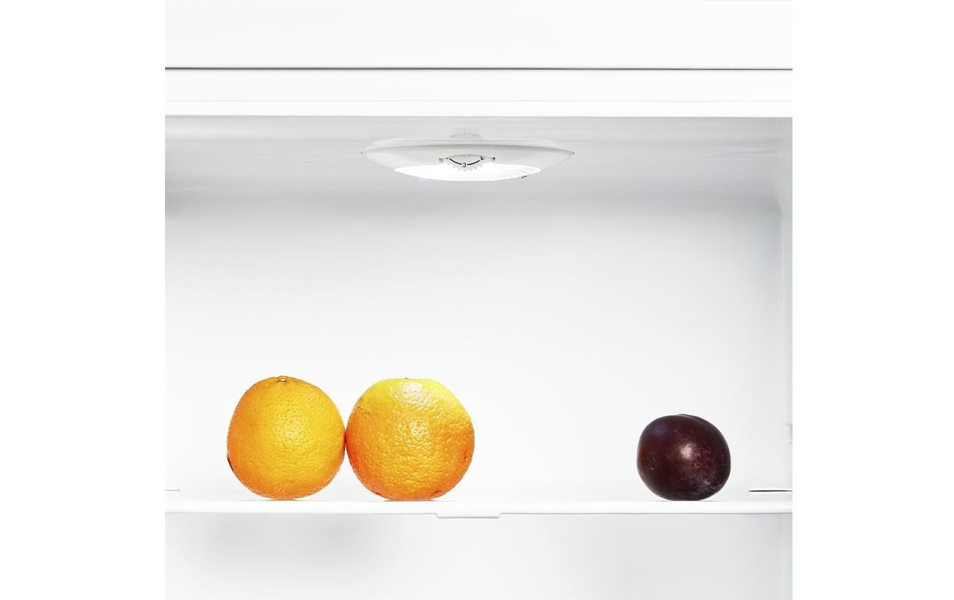 Kibernetik Kühlschrank »KS340L Rechts/Wechselbar« 172,5 cm hoch 60 cm breit