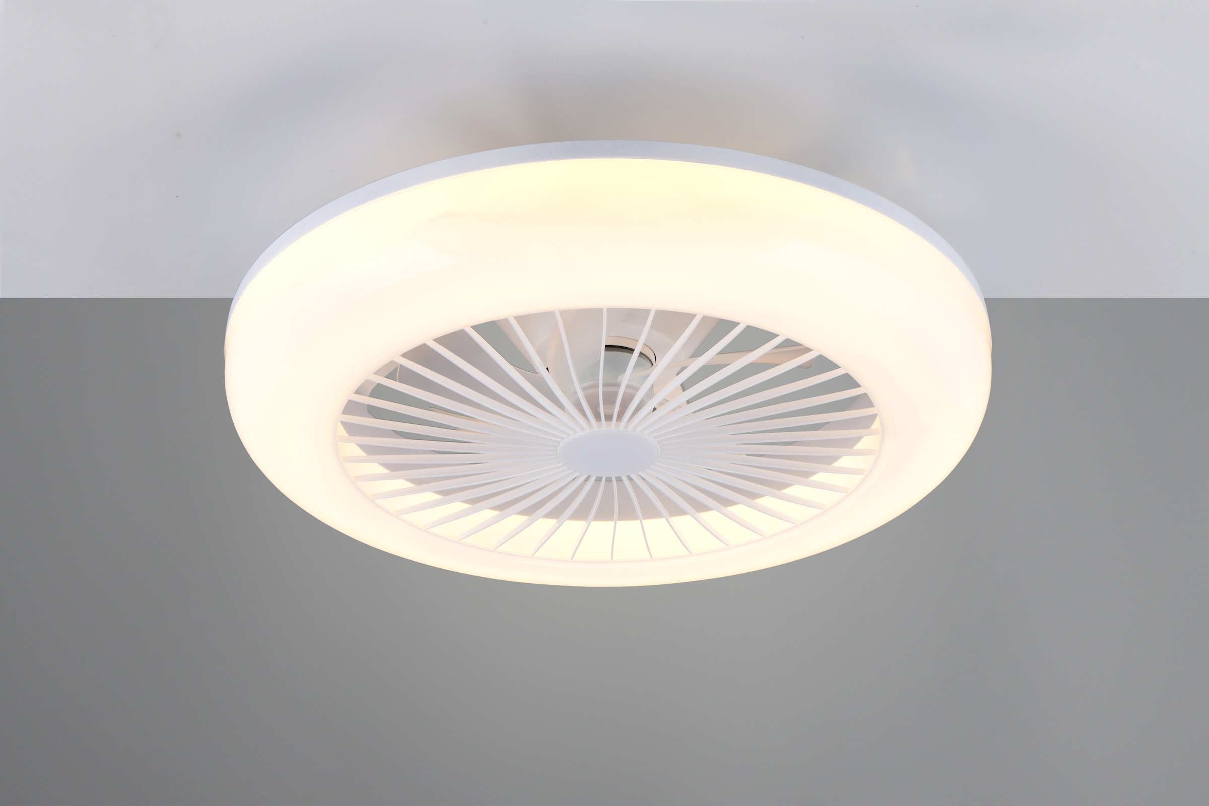 REALITY Leuchten LED Deckenleuchte »MORA mit Ventilator, Deckenventilator mit Licht inkl Fernbedienung«, 1 flammig, Leuchtmittel LED-Board | LED fest integriert, 3 Geschwindigkeiten Timer Vor- & Rücklauf LED dimmbar CCT Nachtlicht