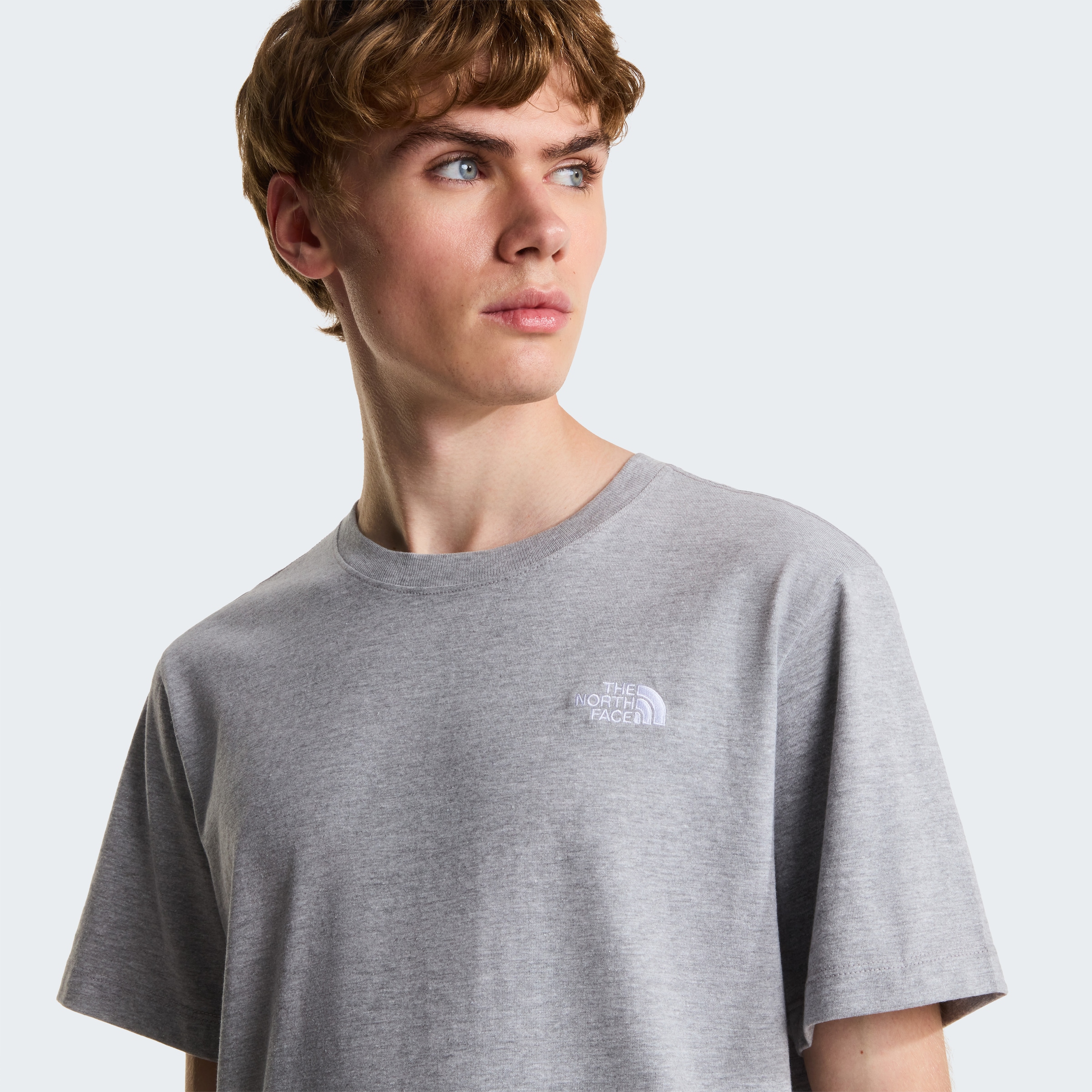The North Face T-Shirt »M EVOLUTION SIMPLE DOME REGULAR SHORT SL« normale Passform, Kurzarm, für den Alltag, aus Baumwolle