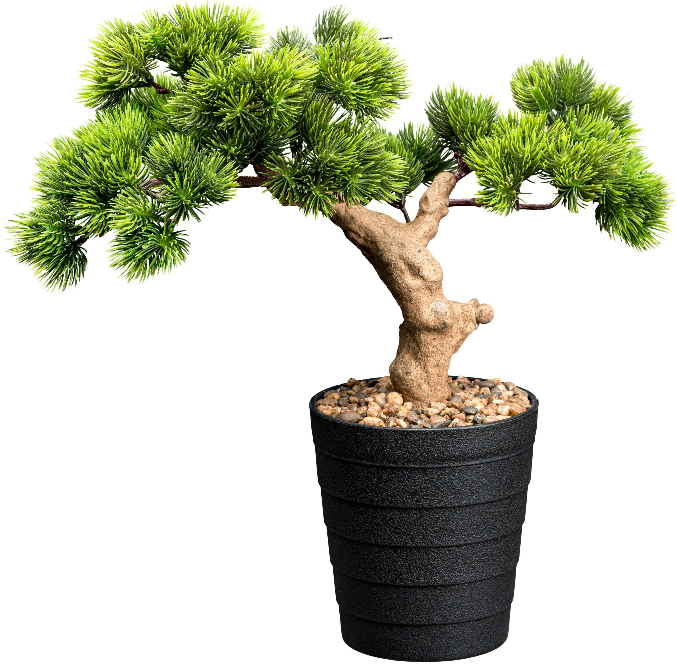 Creativ green Kunstbonsai »Bonsai Kiefer«, mit Deko-Kies