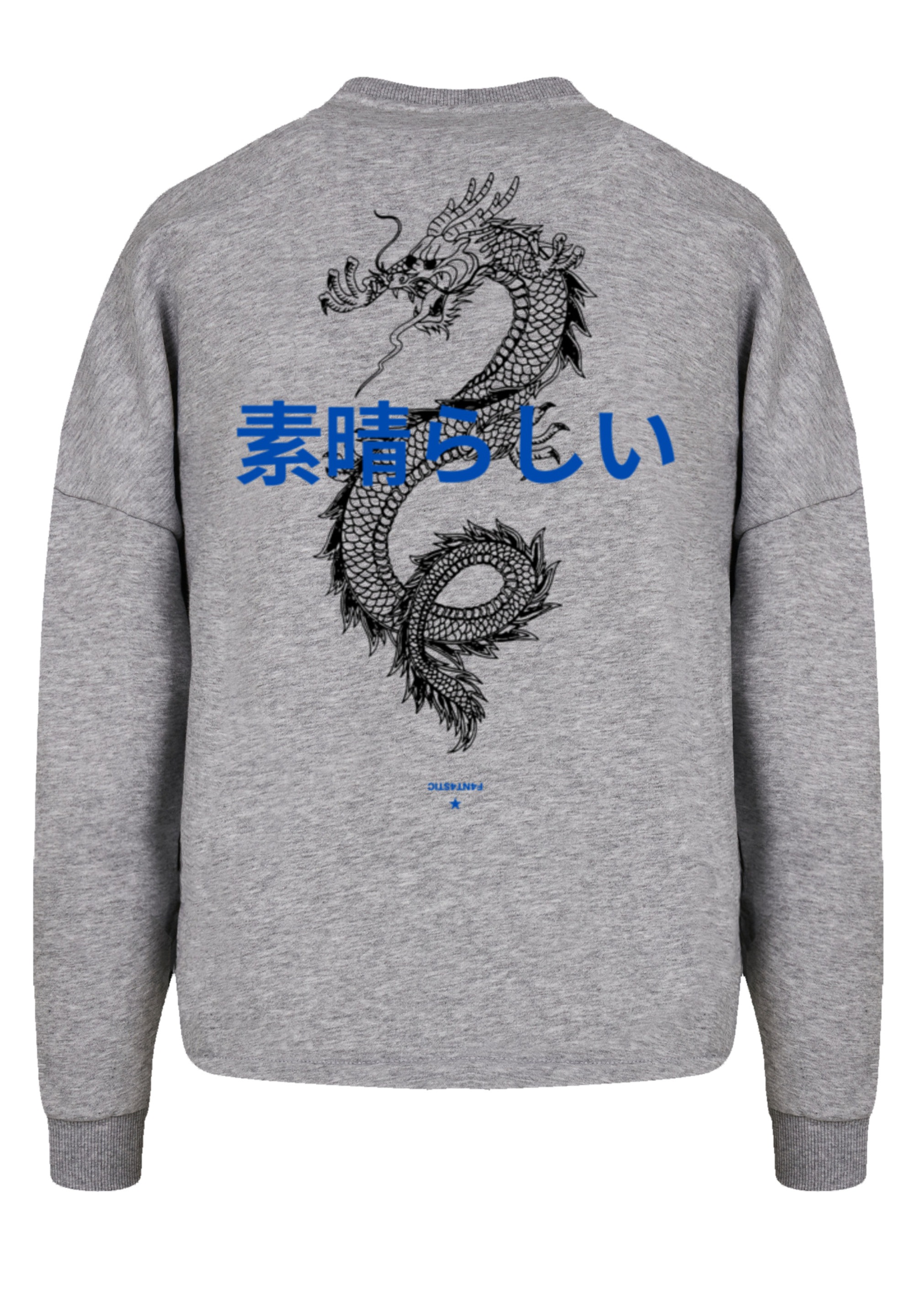 F4NT4STIC Sweatshirt »Dragon«, Print