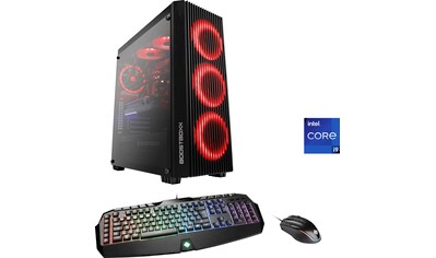 CSL Gaming-PC »HydroX L9115 ASUS Extreme« kaufen