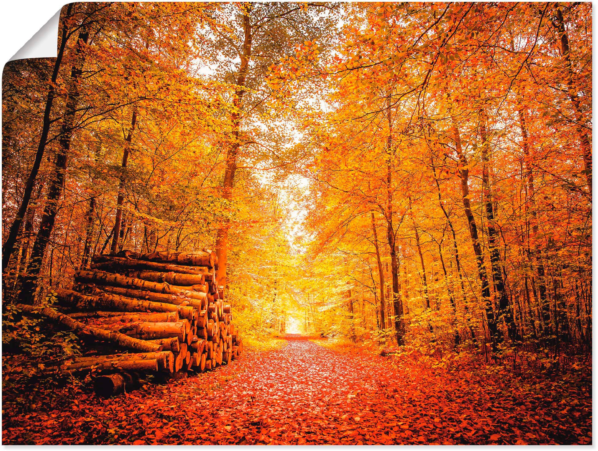 Jahreszeiten, Größen Wandaufkleber Alubild, oder Poster Wandbild (1 | »Herbstlandschaft«, als Vier bestellen versch. BAUR Leinwandbild, St.), Artland in