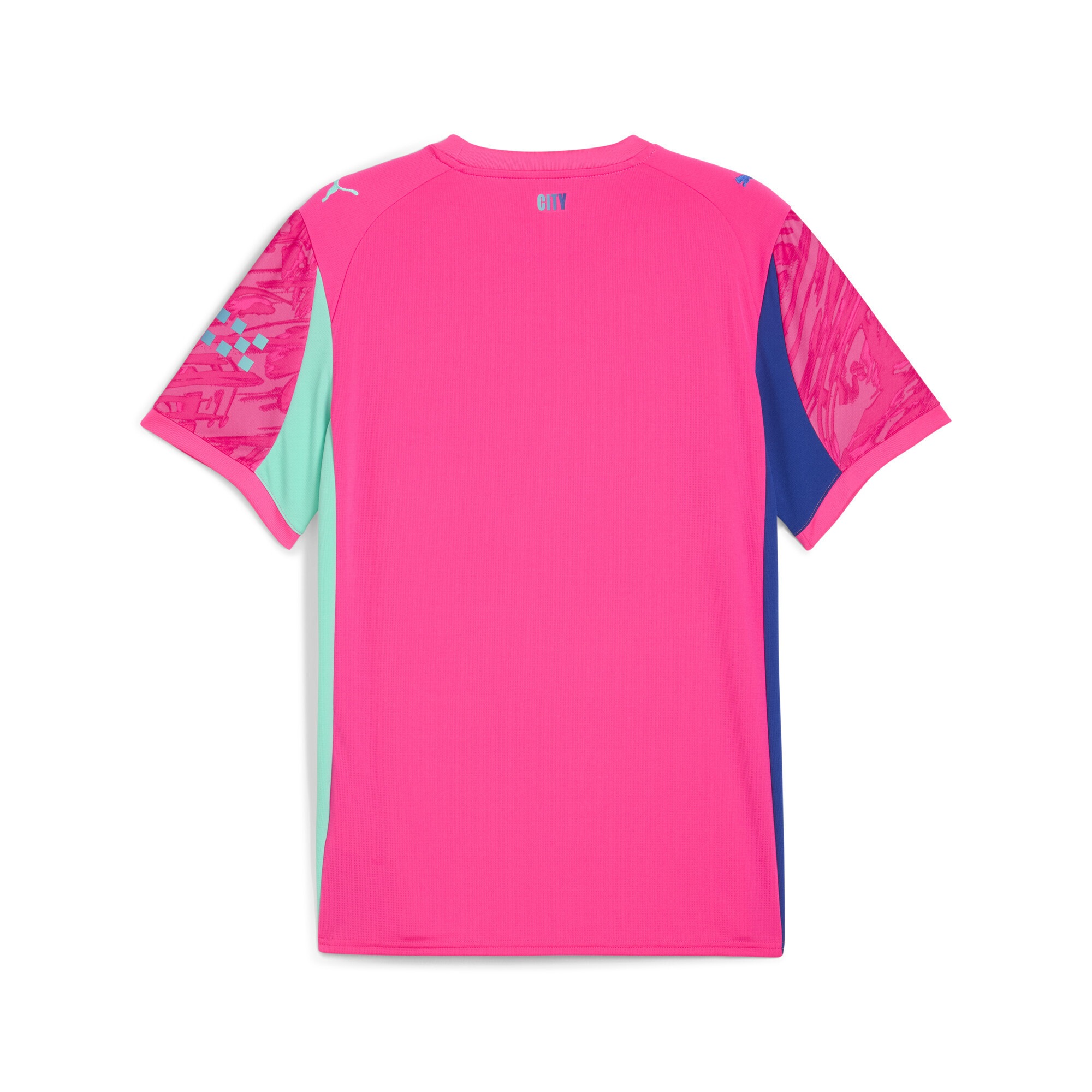 PUMA Trainingsshirt »Manchester City 25/26 Torwarttrikot Herren«
