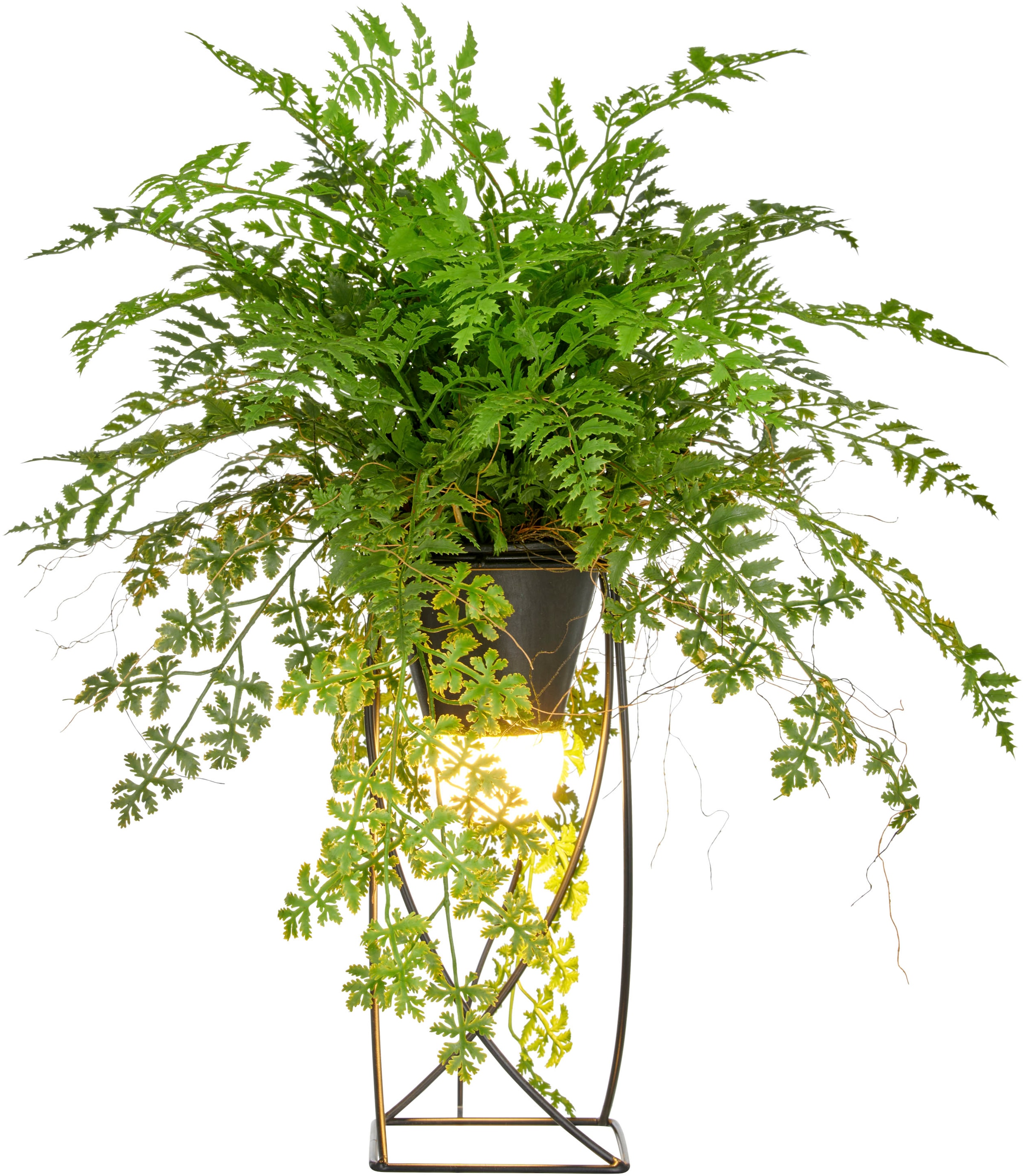 Creativ green Kunstpflanze "Farn als Dekostandleuchte" mit LED-Beleuchtung