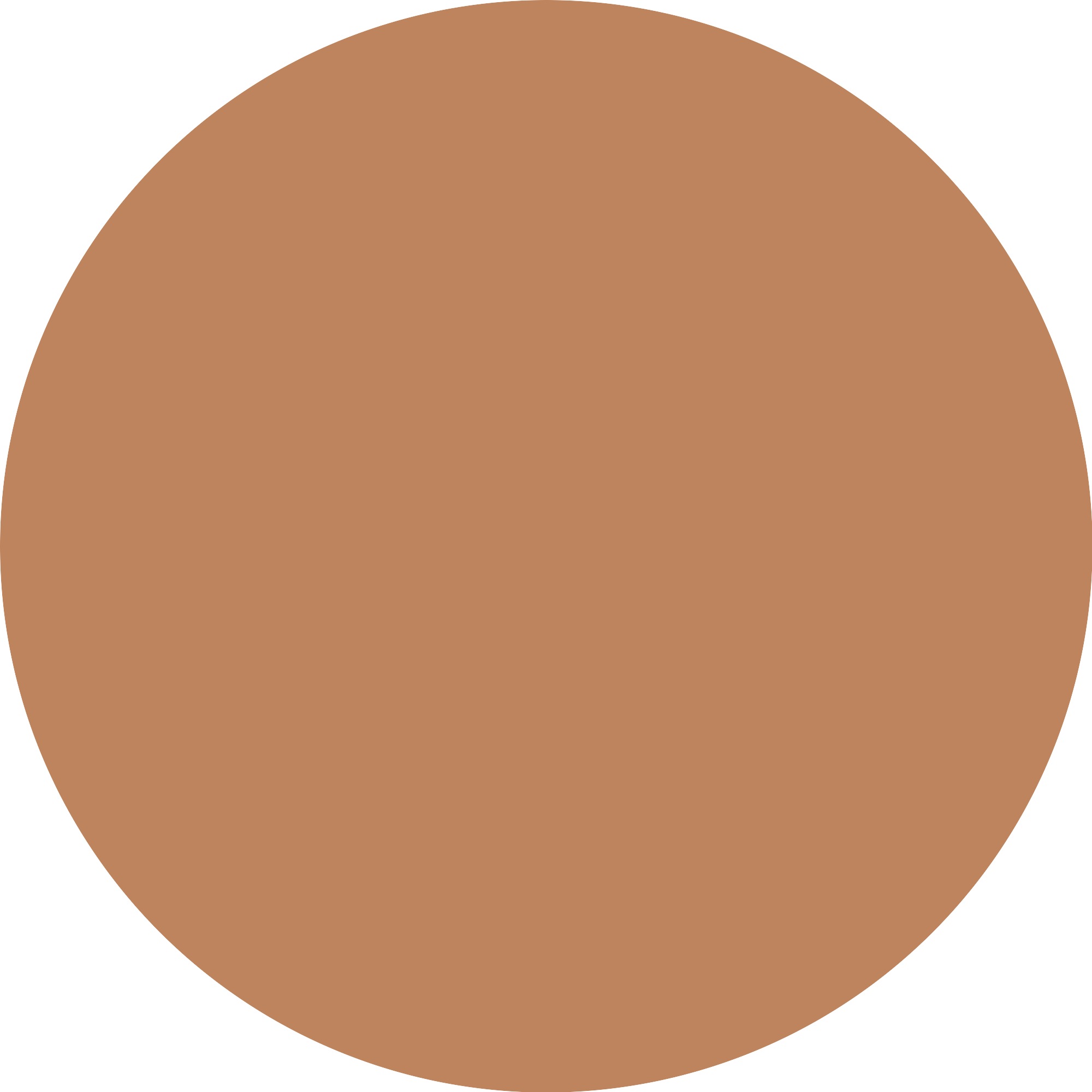 Catrice Foundation »Skin Like Tinted Moisturizer«