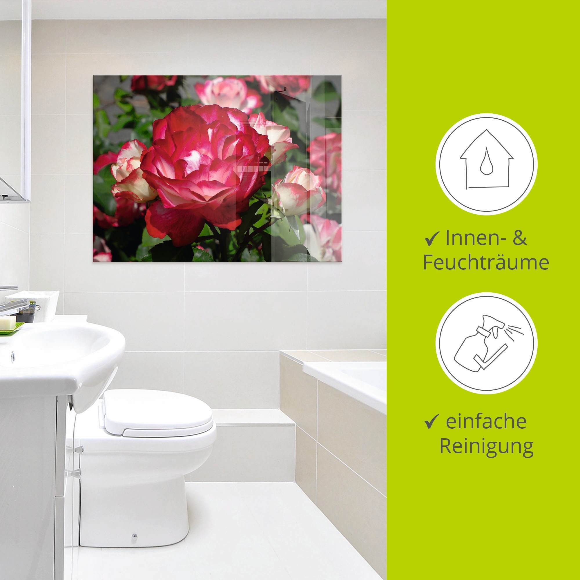 Artland Glasbild »Rot weiße Rosenblüte«, Blumen, (1 St.), in verschiedenen Größen