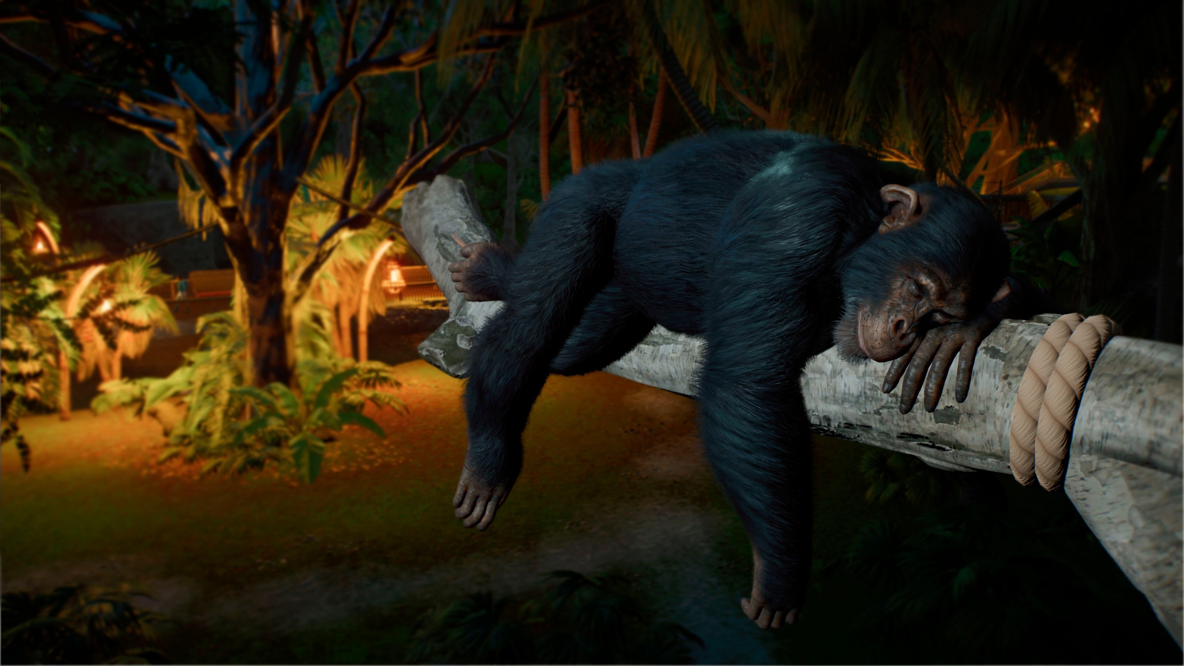 Fireshine Games Spielesoftware »Planet Zoo 2« Xbox Series X