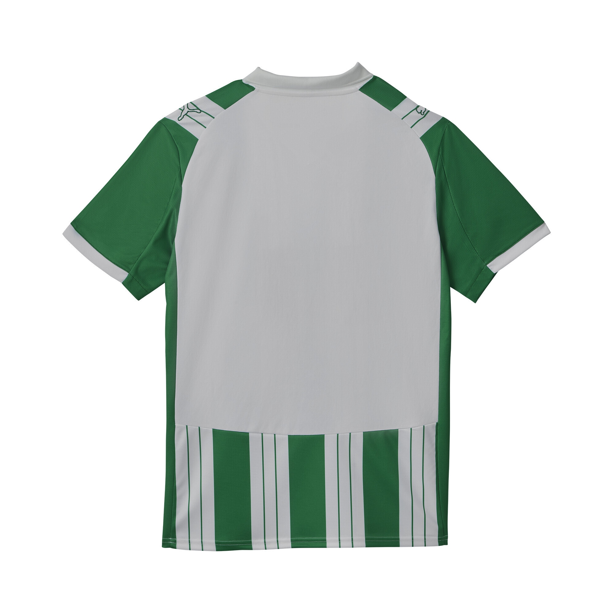 PUMA Trainingsshirt »SK Rapid Wien 25/26 Heimtrikot Herren«