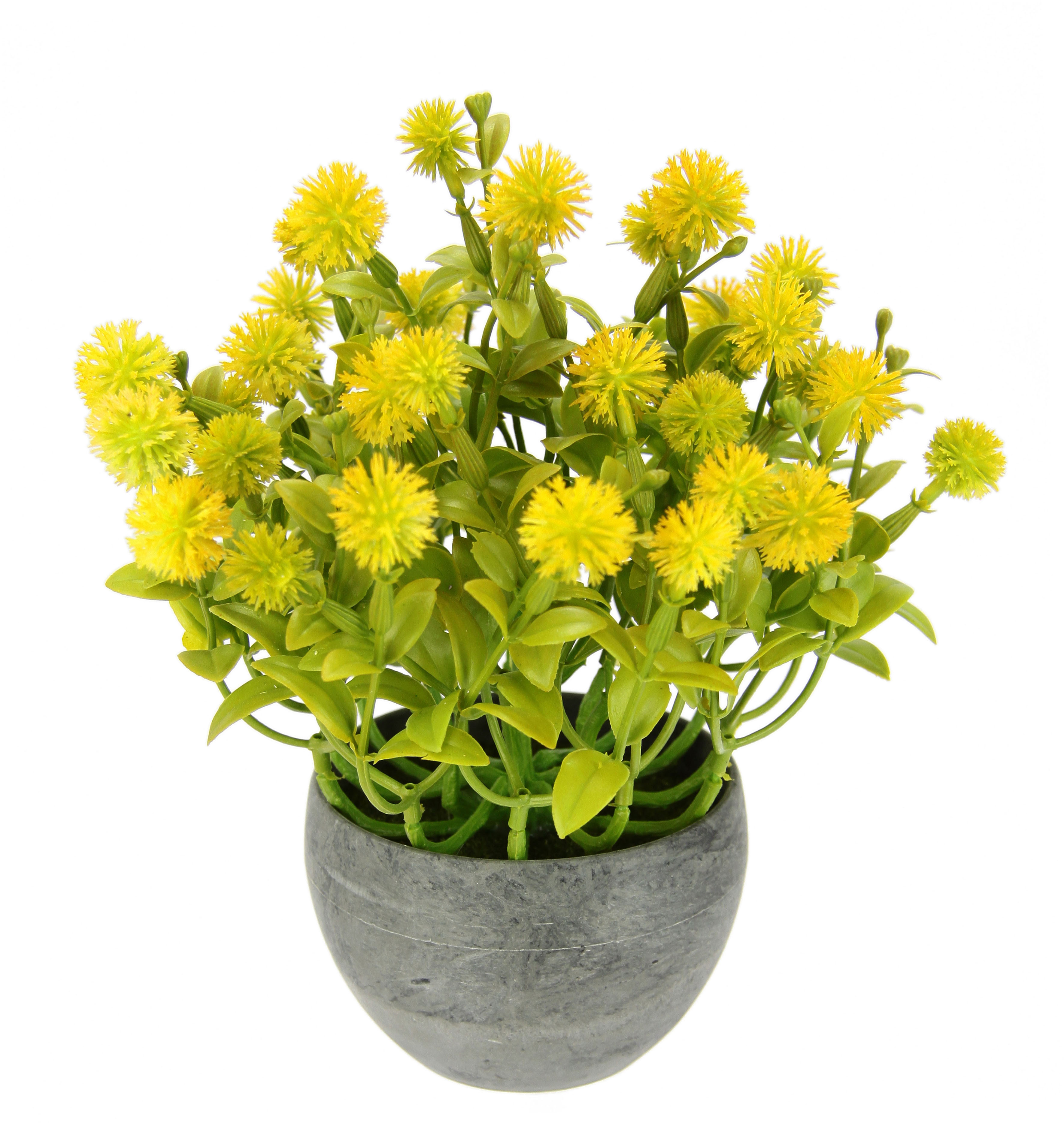 Gelbe Pflanzen online kaufen BAUR & | ▷ künstlich natürlich