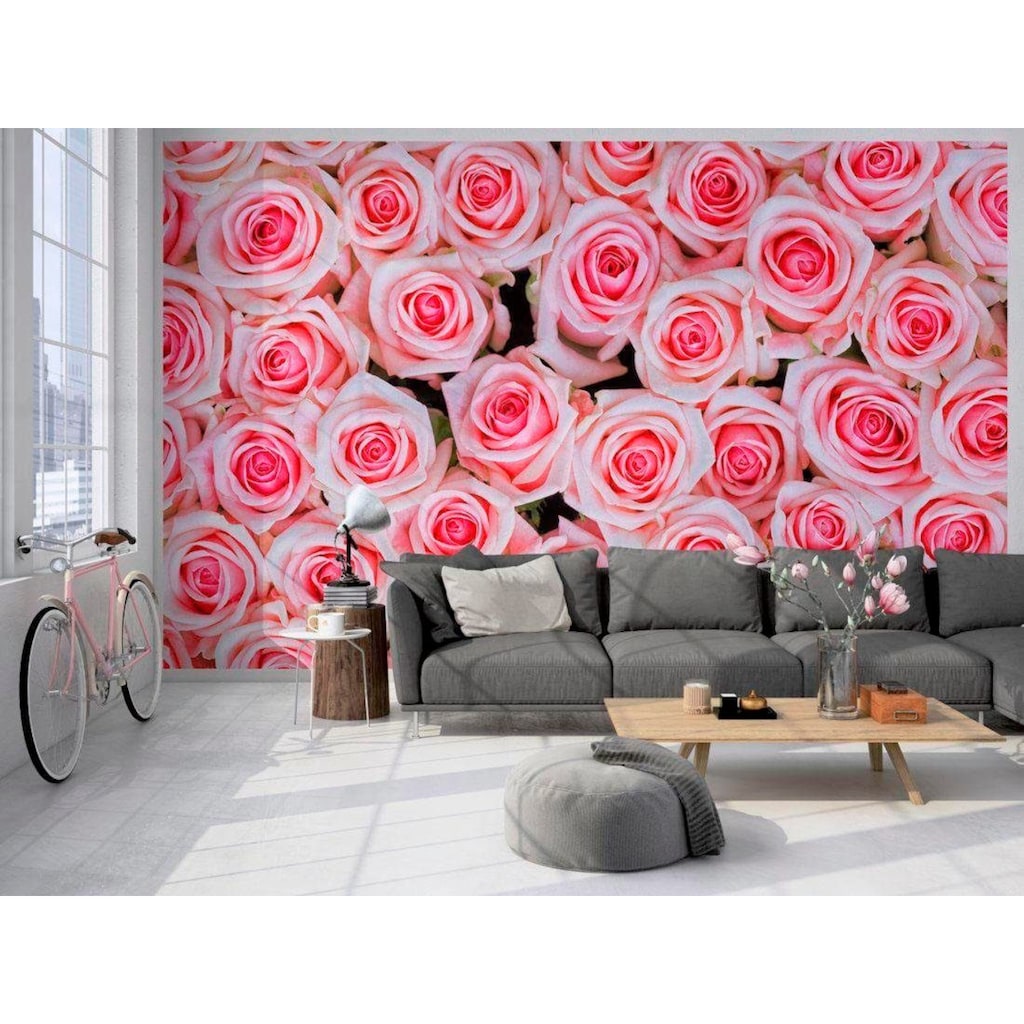 living walls Fototapete »rosa Rosen«