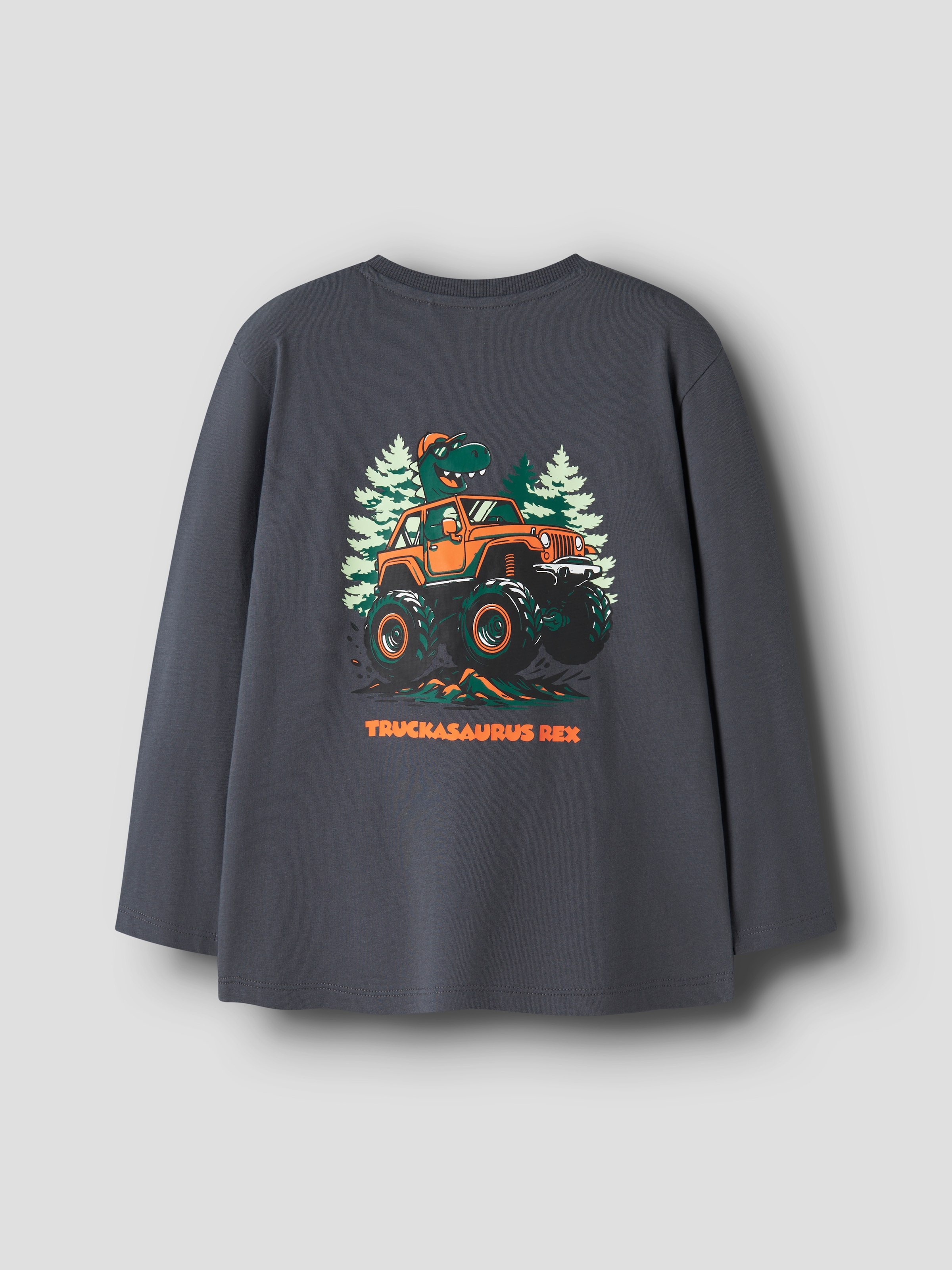 Name It Langarmshirt »NMMVELIX LS NREG TOP« Baumwolle, regular fit