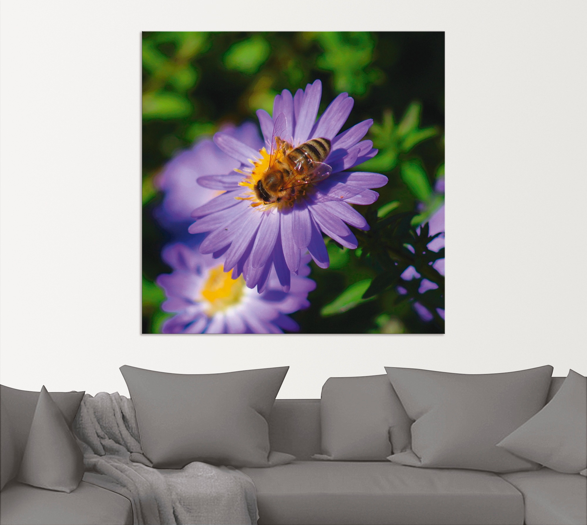Artland Wandbild »Honigbiene auf lila Aster«, Insekten, (1 St.), als Alubild, Leinwandbild, Wandaufkleber oder Poster in versch. Größen