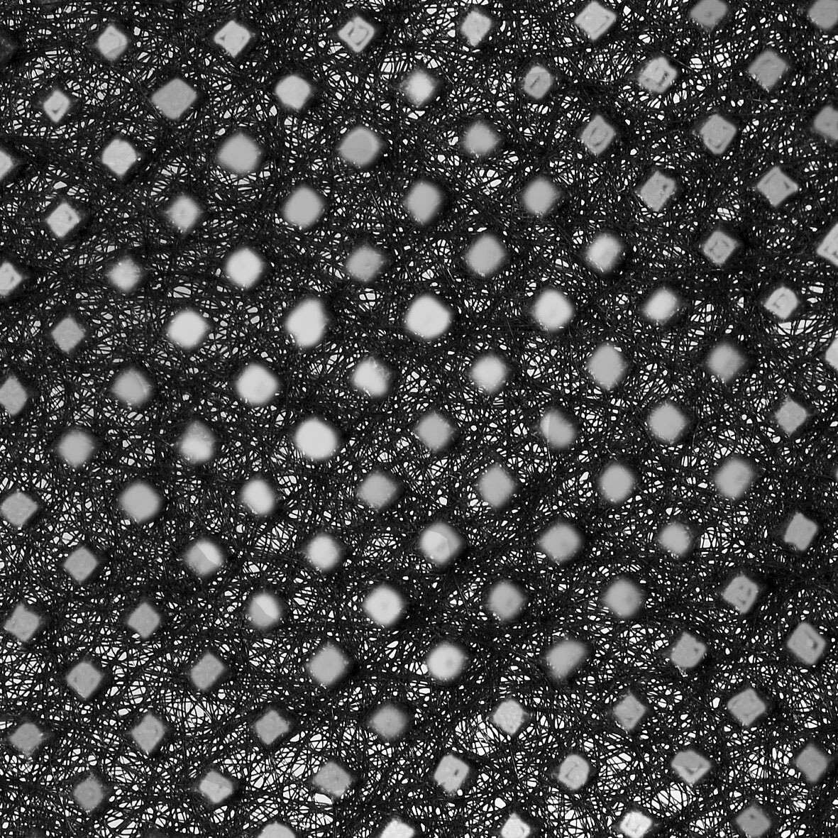 Windhager Unkrautvlies, BxL: 200x2500 cm