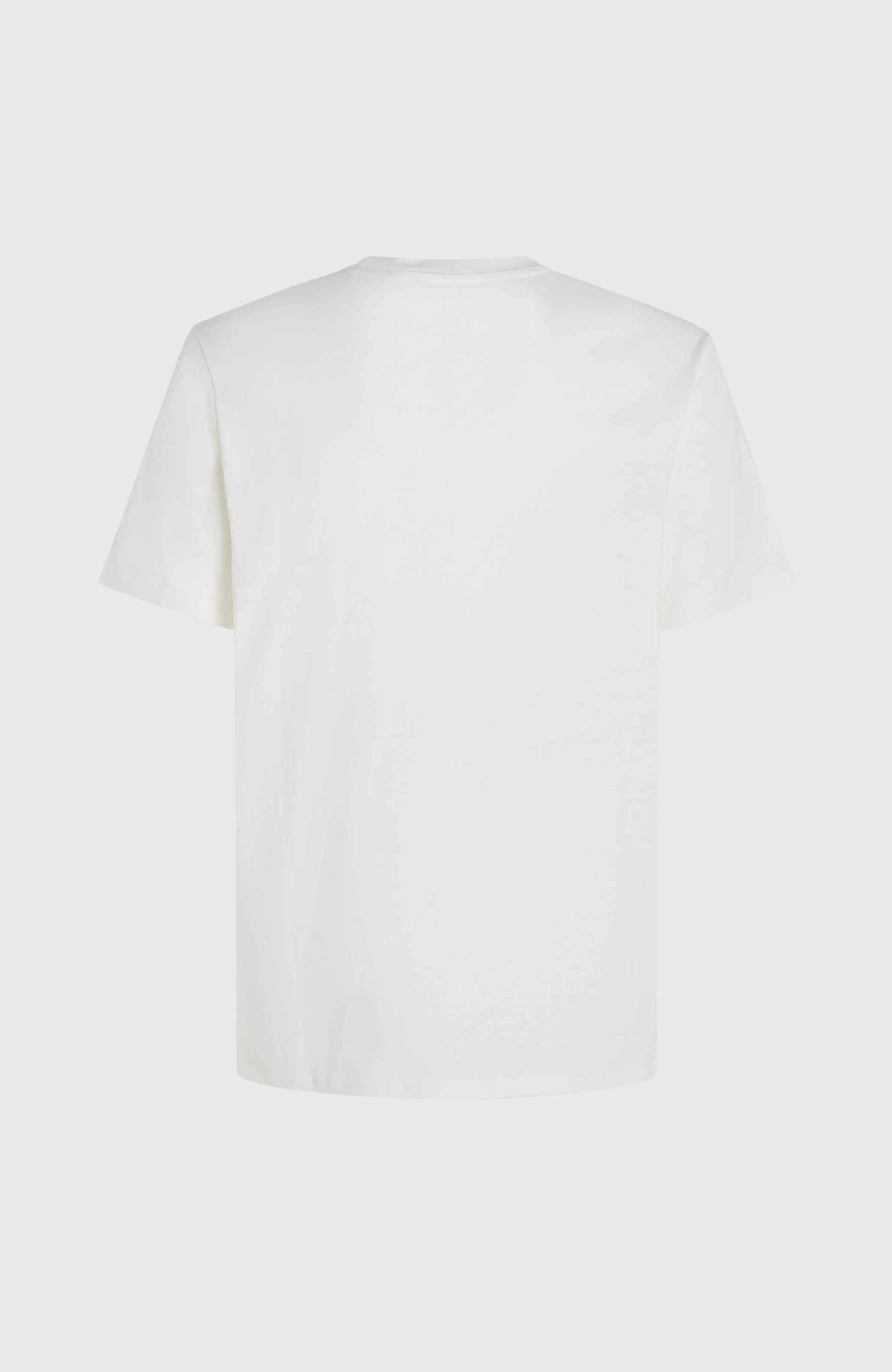 O'Neill T-Shirt »JACK O'NEILL WAVE T-SHIRT«, mti Rundhalsausschnitt