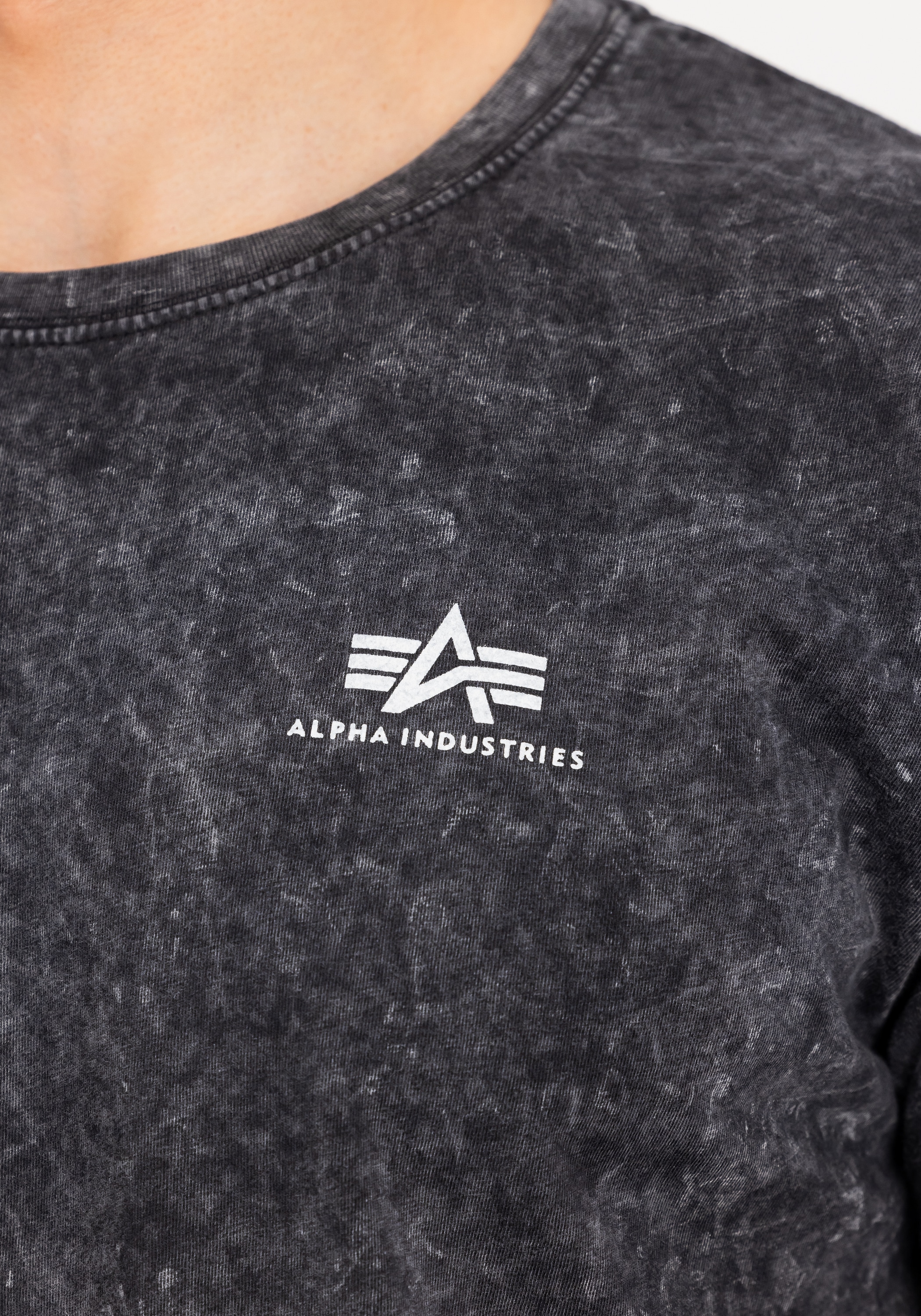 Alpha Industries T-Shirt »Vintage Backprint T-Shirt«
