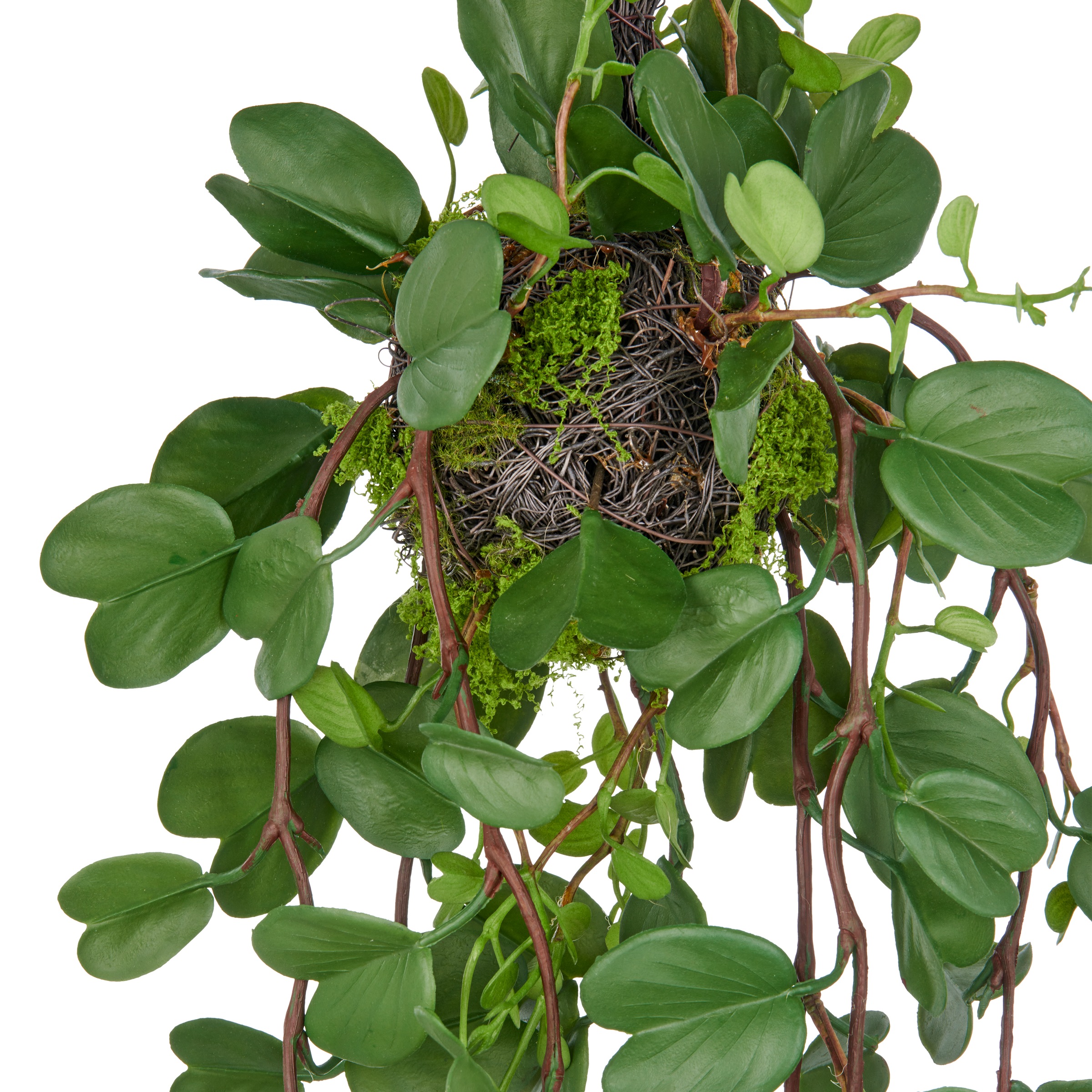 Creativ green Kunstpflanze "Bauhinia", mit detailgetreuen Blattranken an Re günstig online kaufen