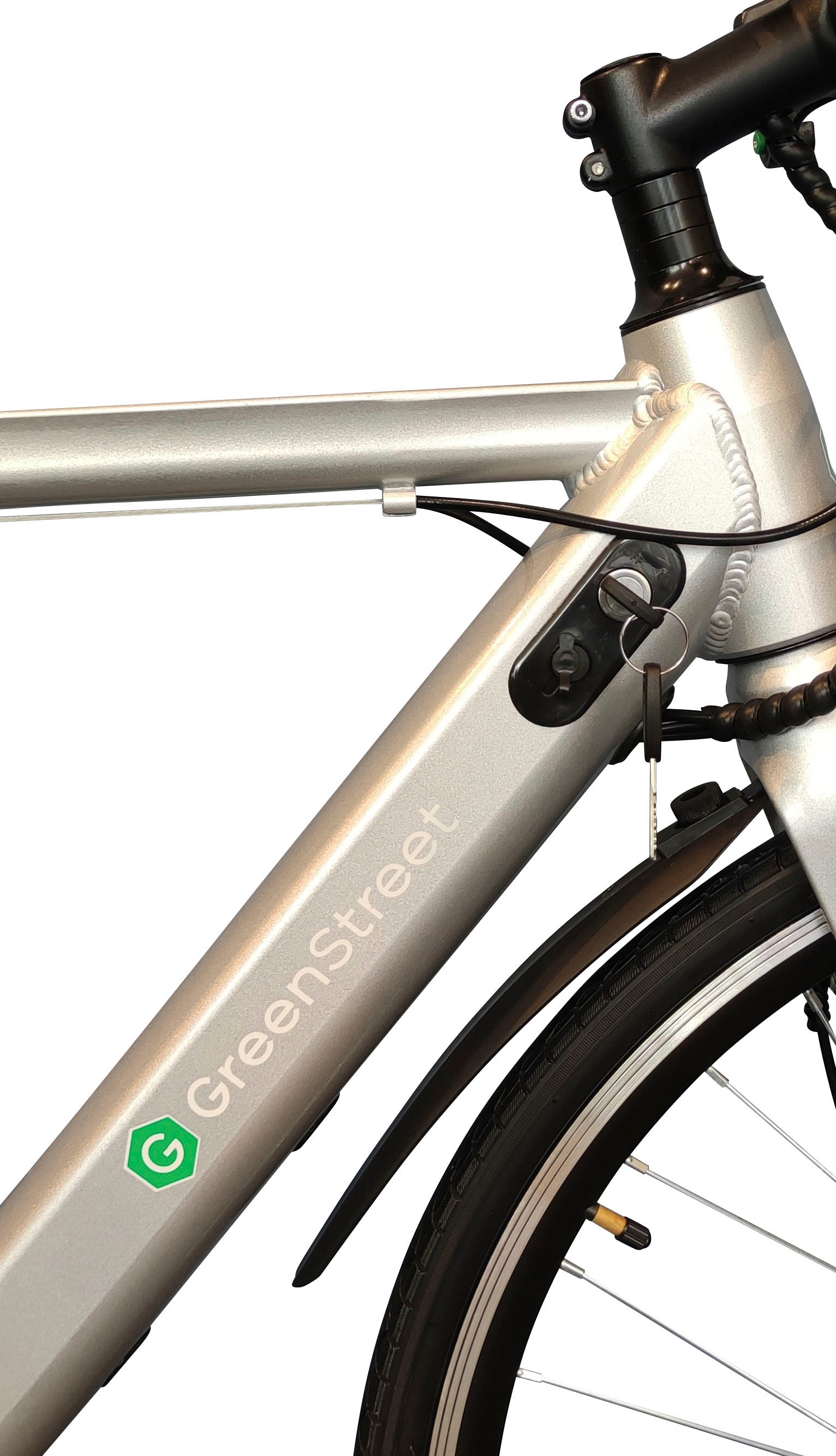GreenStreet E-Bike, 6 Gang, Shimano, Heckmotor 250 W, Pedelec, Elektrofahrrad für Damen u. Herren