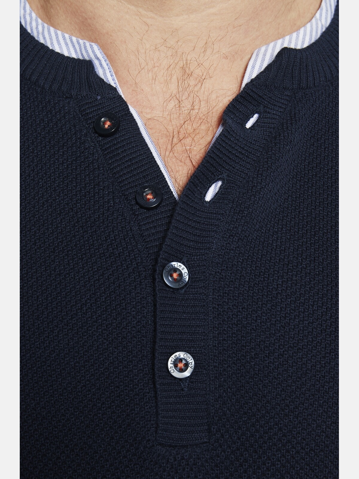 Charles Colby Rundhalspullover »Pullover EARL NEAMUS«