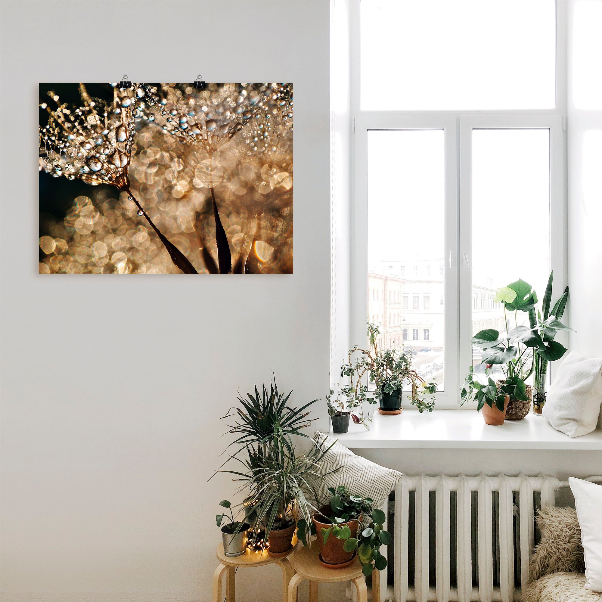 Artland Wandbild »Pusteblume Goldschimmer«, Blumen, (1 St.), als Alubild, Outdoorbild, Leinwandbild, Poster, Wandaufkleber