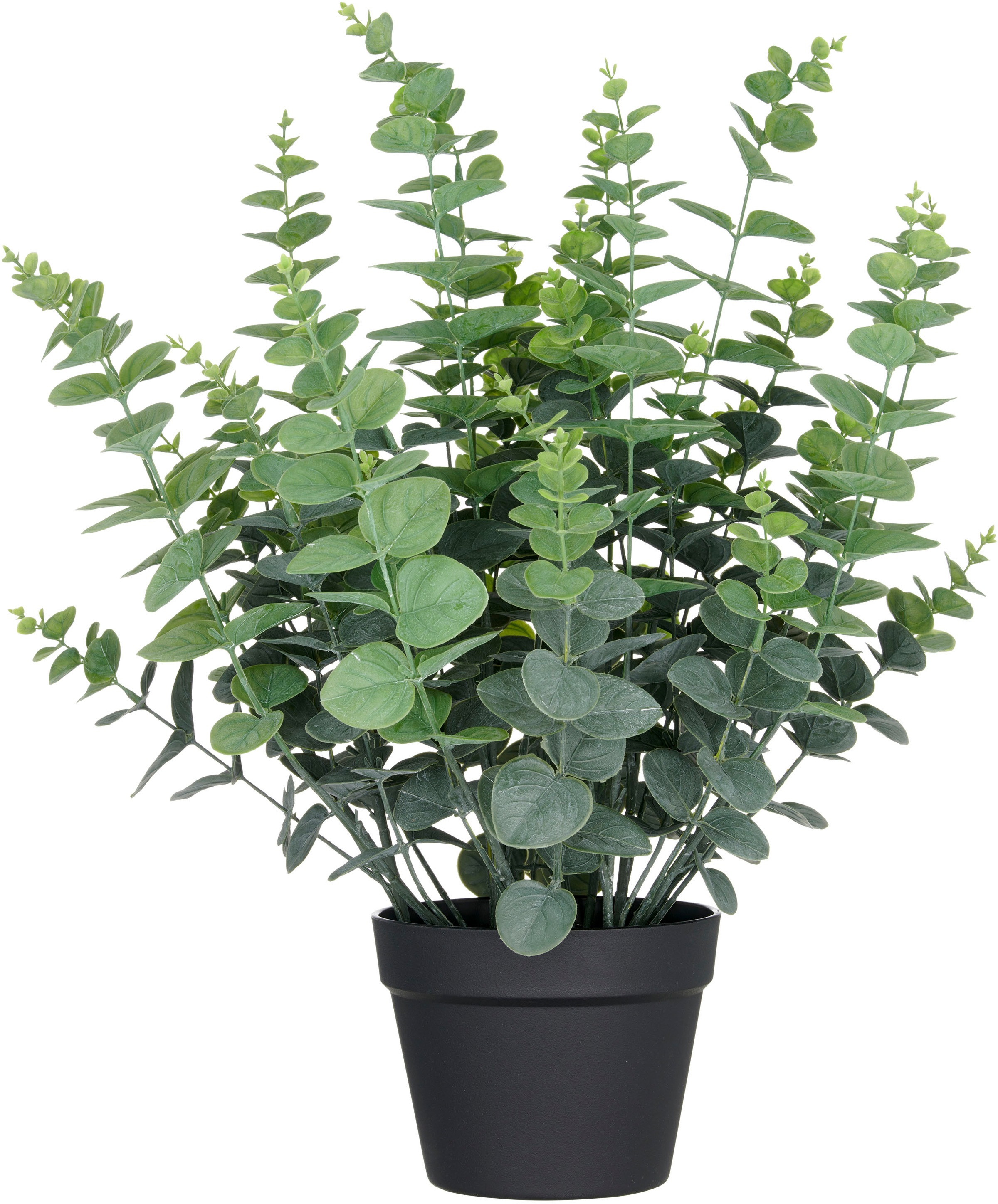 Creativ green Kunstpflanze "Eukalyptus gunnii" in UV-beständiger Ausführung günstig online kaufen