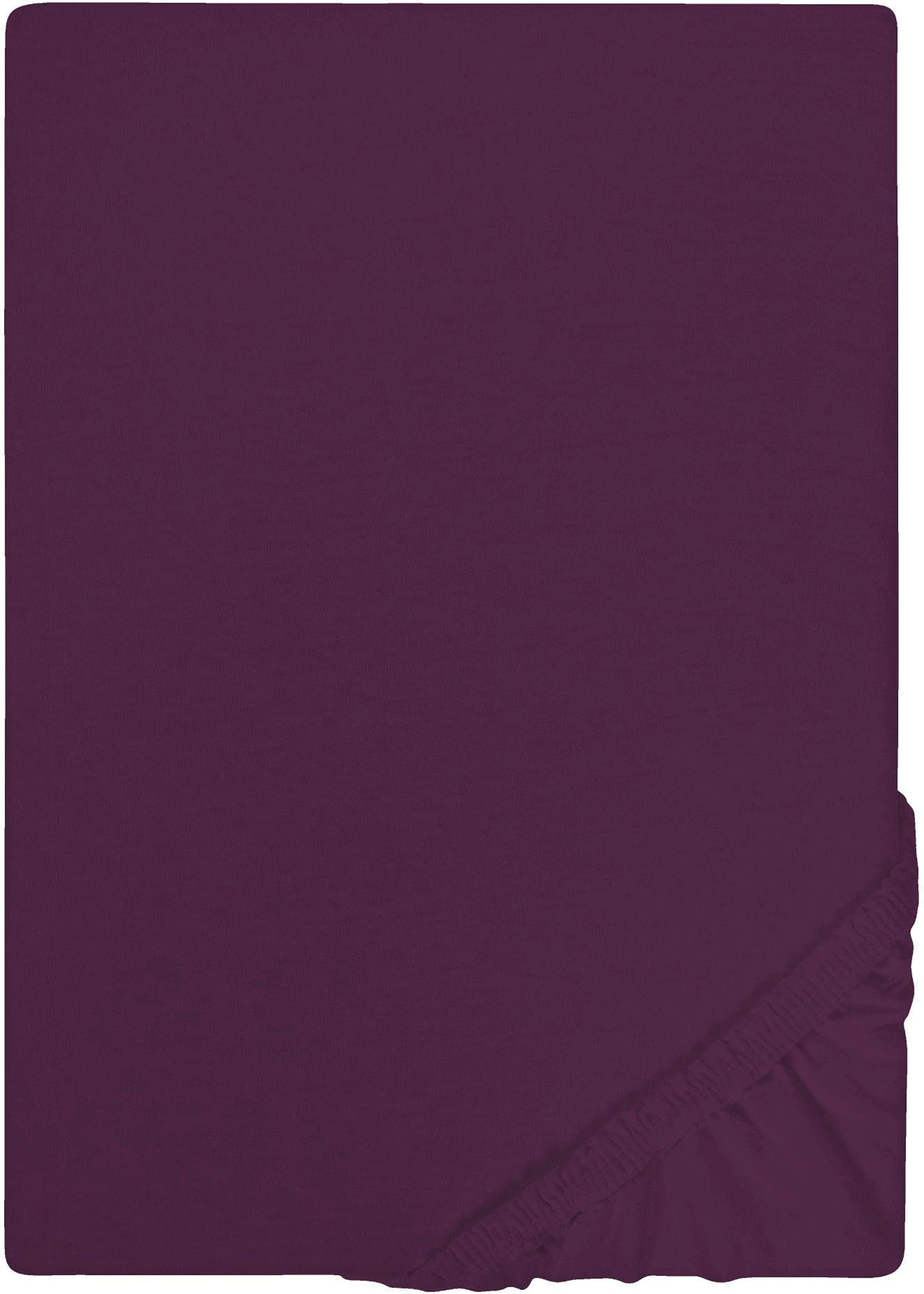 Castell - Markenbettwäsche Spannbettlaken "Jersey in Gr. 90x200, 140x200 oder 180x200 cm" aus Baumwolle, für Matratzen bis 22 cm Höhe, Bettlaken, Spannbetttuch