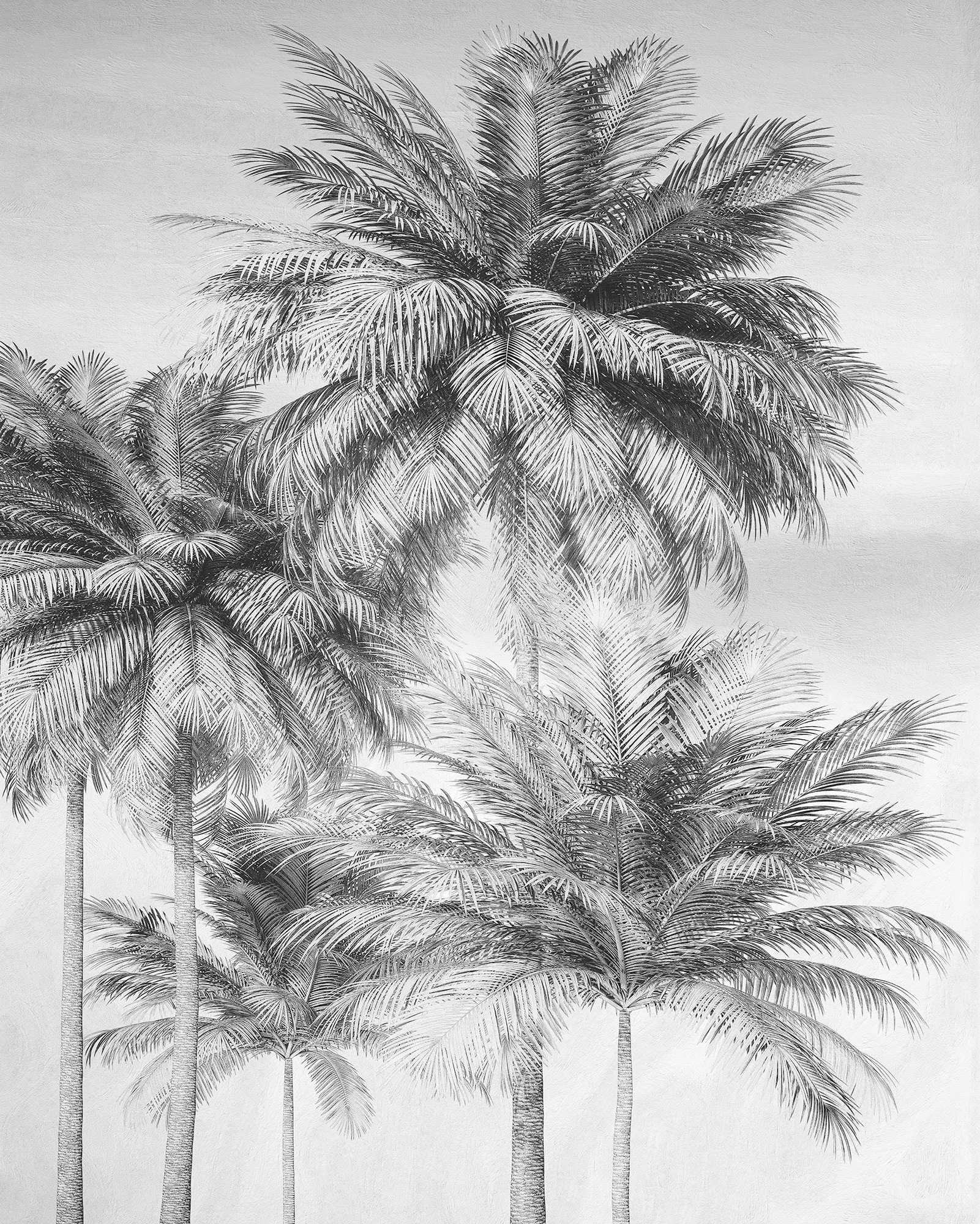 Komar Vliestapete "Digitaldruck Vlies - Cocco - Größe 200 X 250 Cm" Bedruckt Glatt Wohnzimmer, Schlafzimmer
