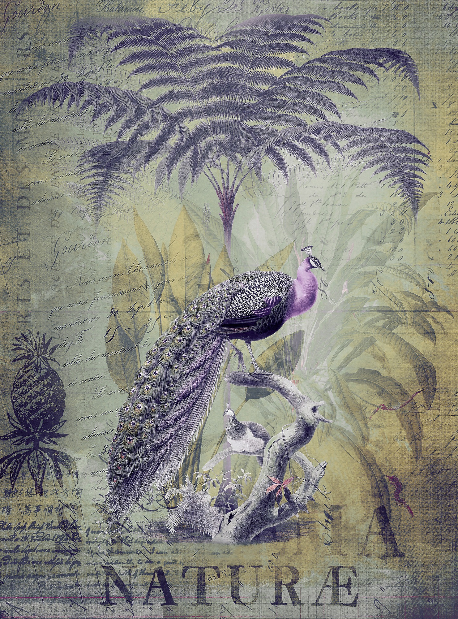 living walls Fototapetas »ARTist Peacock Jungle« Vl...