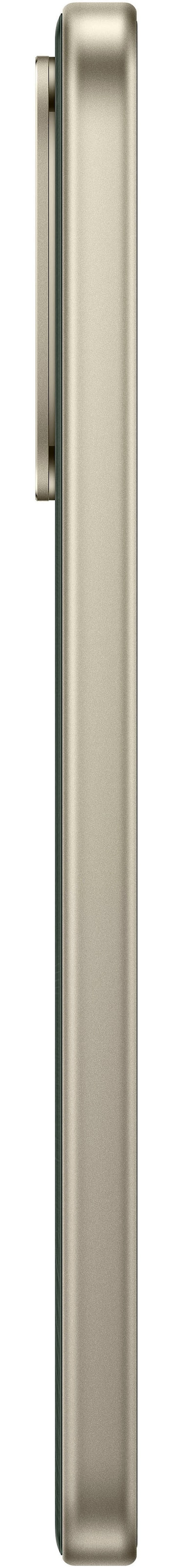 Xiaomi Smartphone »Redmi 17« oak green