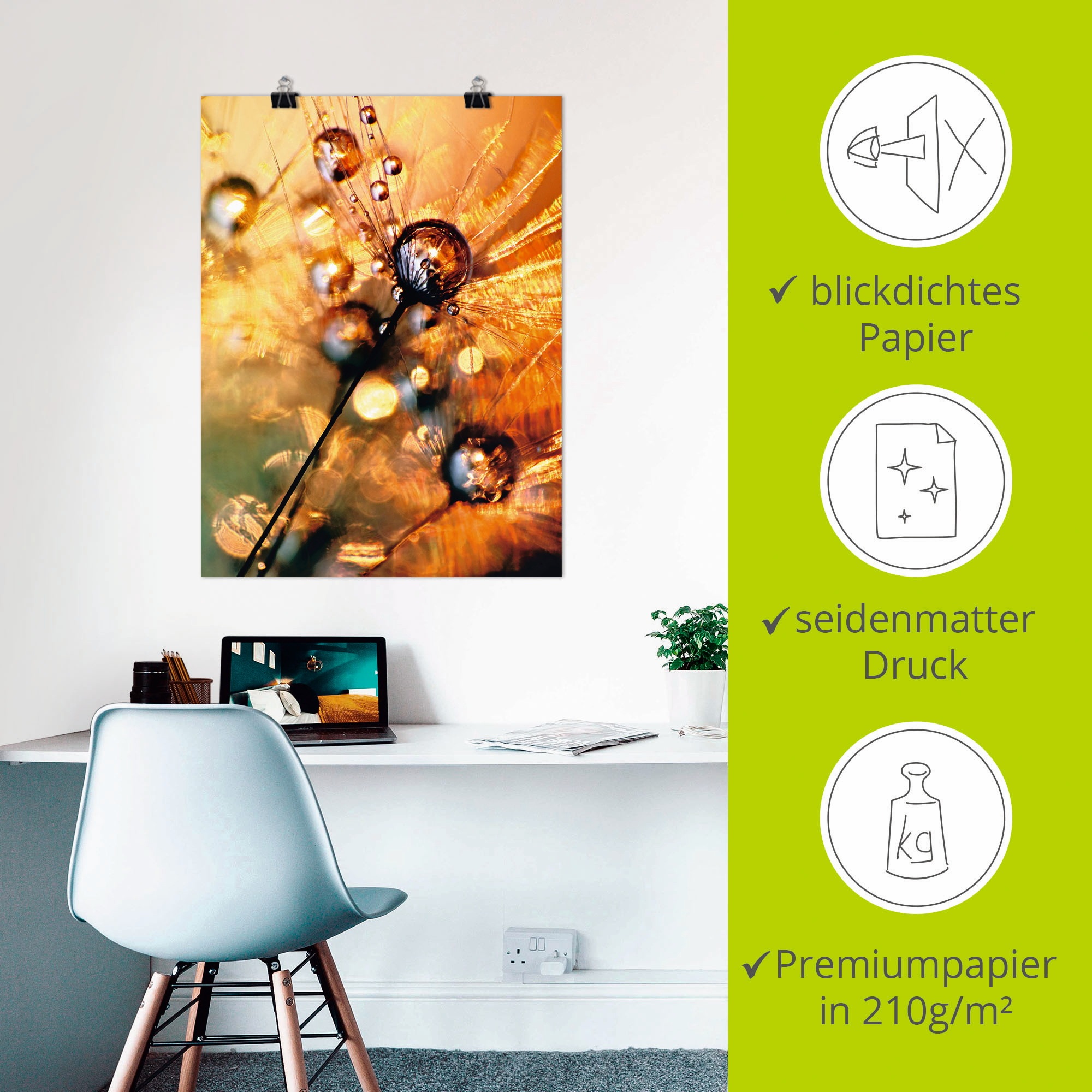 Artland Wandbild »Pusteblume Energy«, Blumen, (1 St.), als Leinwandbild, Poster in verschied. Größen