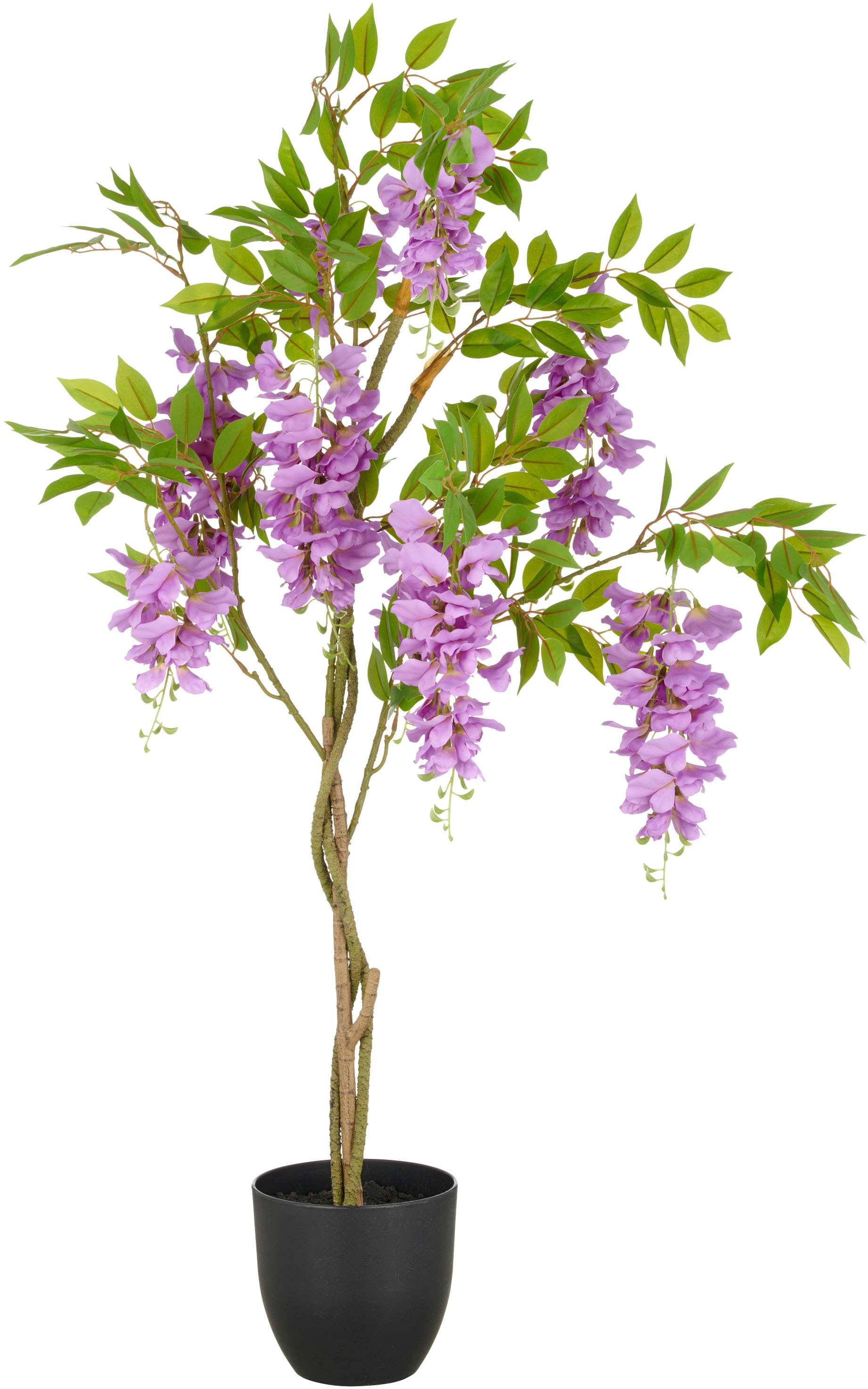 Creativ green Kunstpflanze "Wisteria", mit zahlreichen Blüten günstig online kaufen