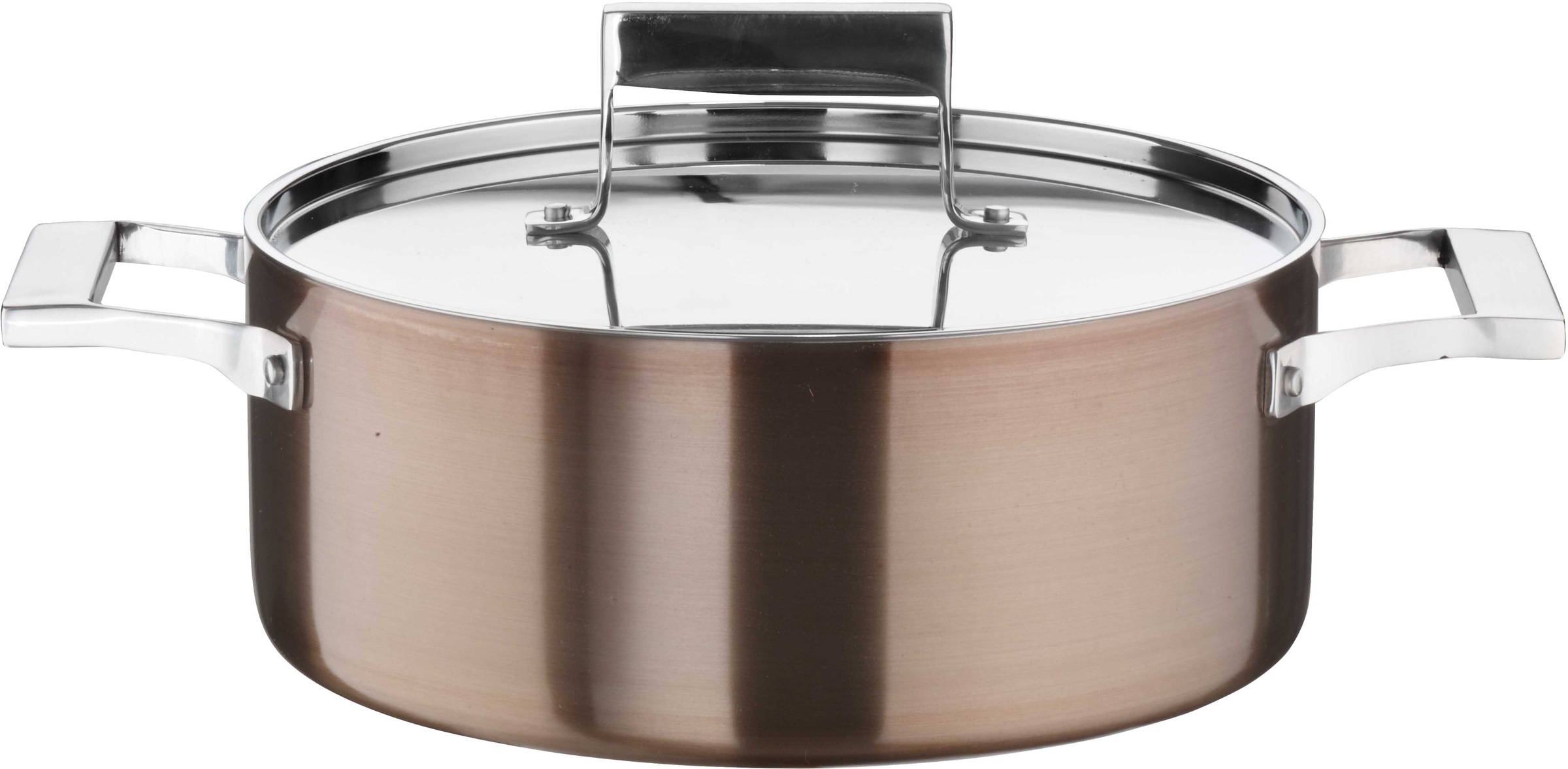 PINTINOX Bratentopf "Century" 1 Stk. tlg. Aluminium günstig online kaufen