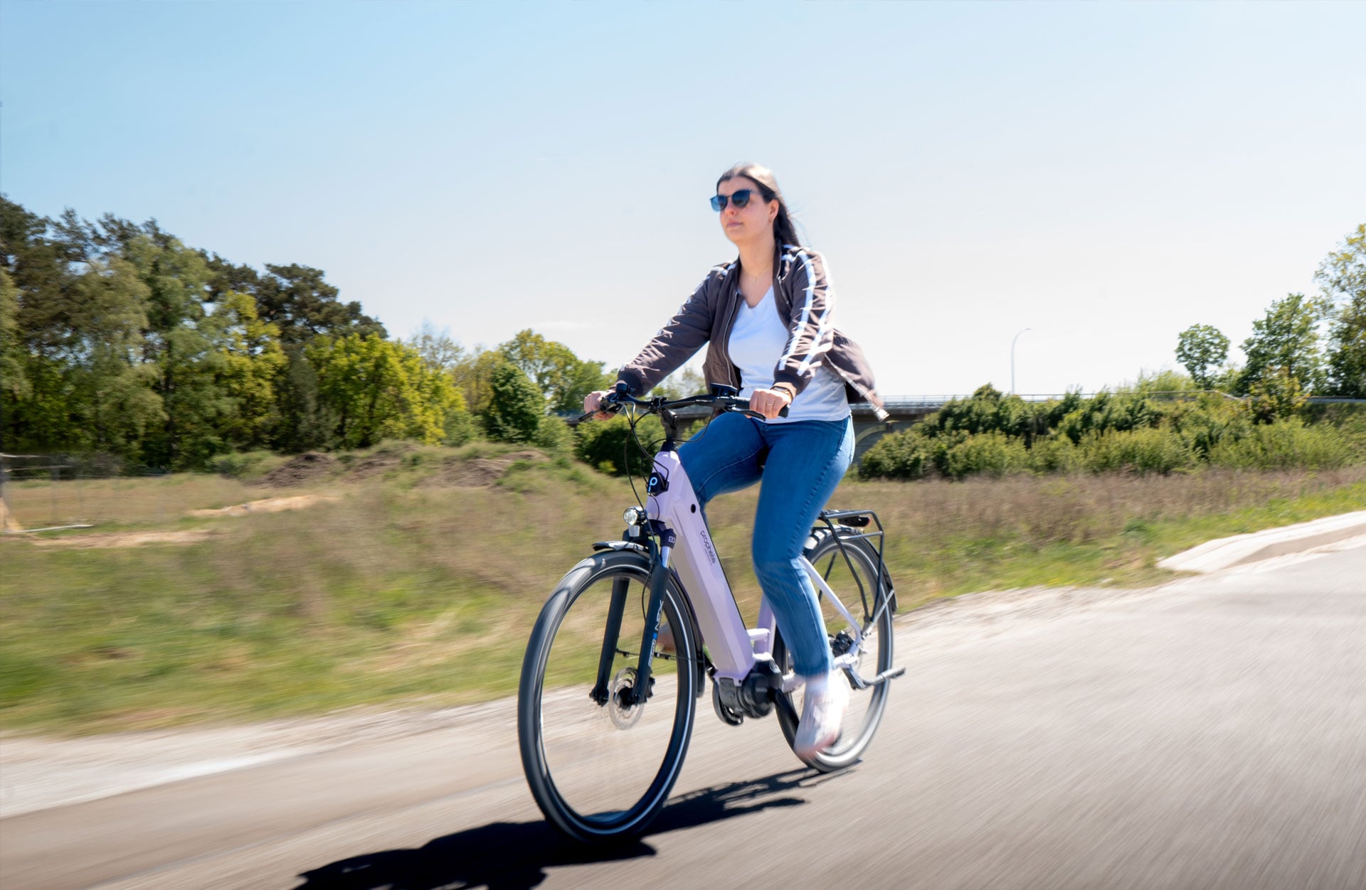 Prophete »Prophete Geniesser 3.3« 7 Gang Shimano Nexus Schaltwerk Nabenschaltung Mittelmotor 250 W