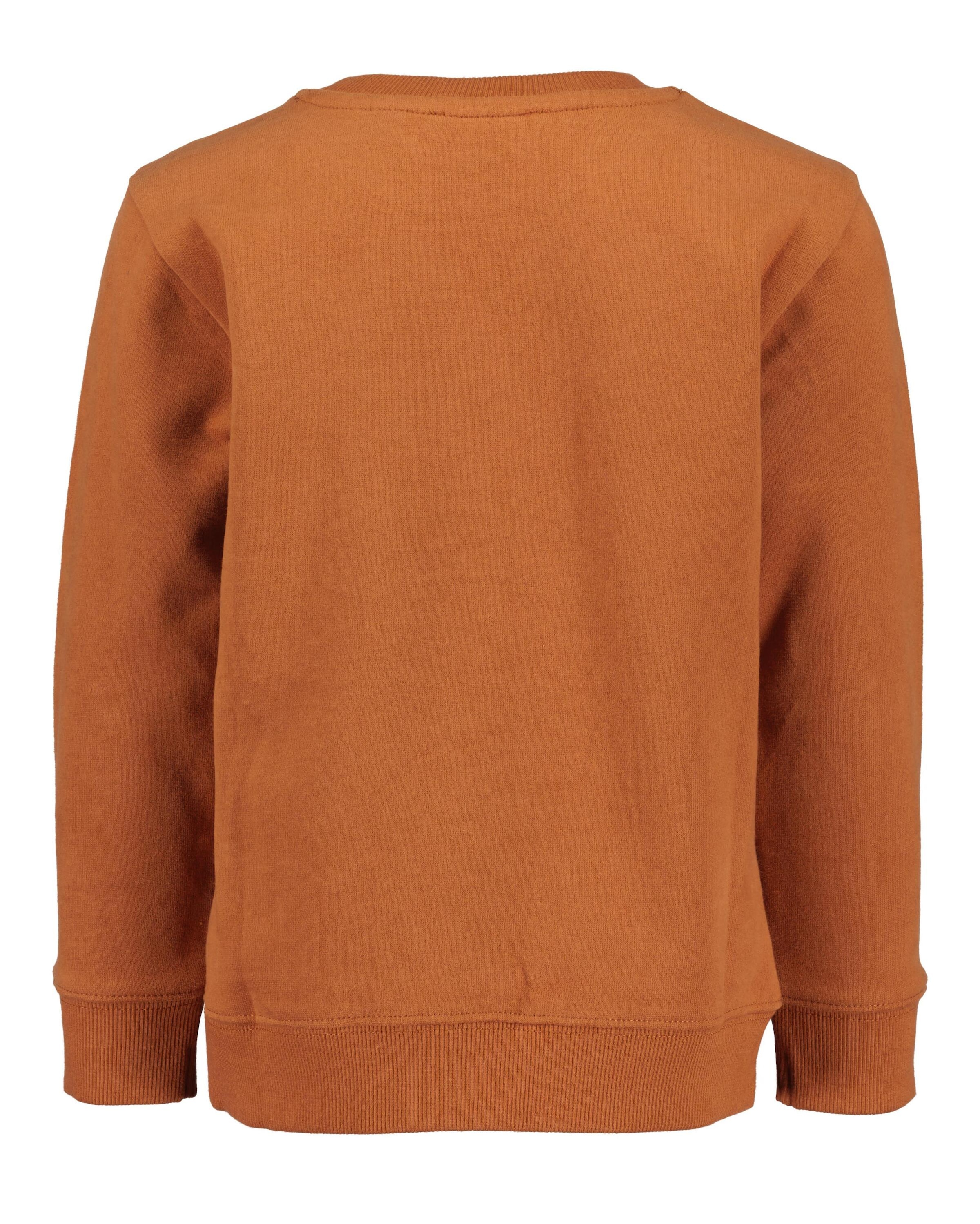 Blue Seven Sweatshirt »Blue Seven Jungen Sweatshirt DINO«, (1 tlg.)