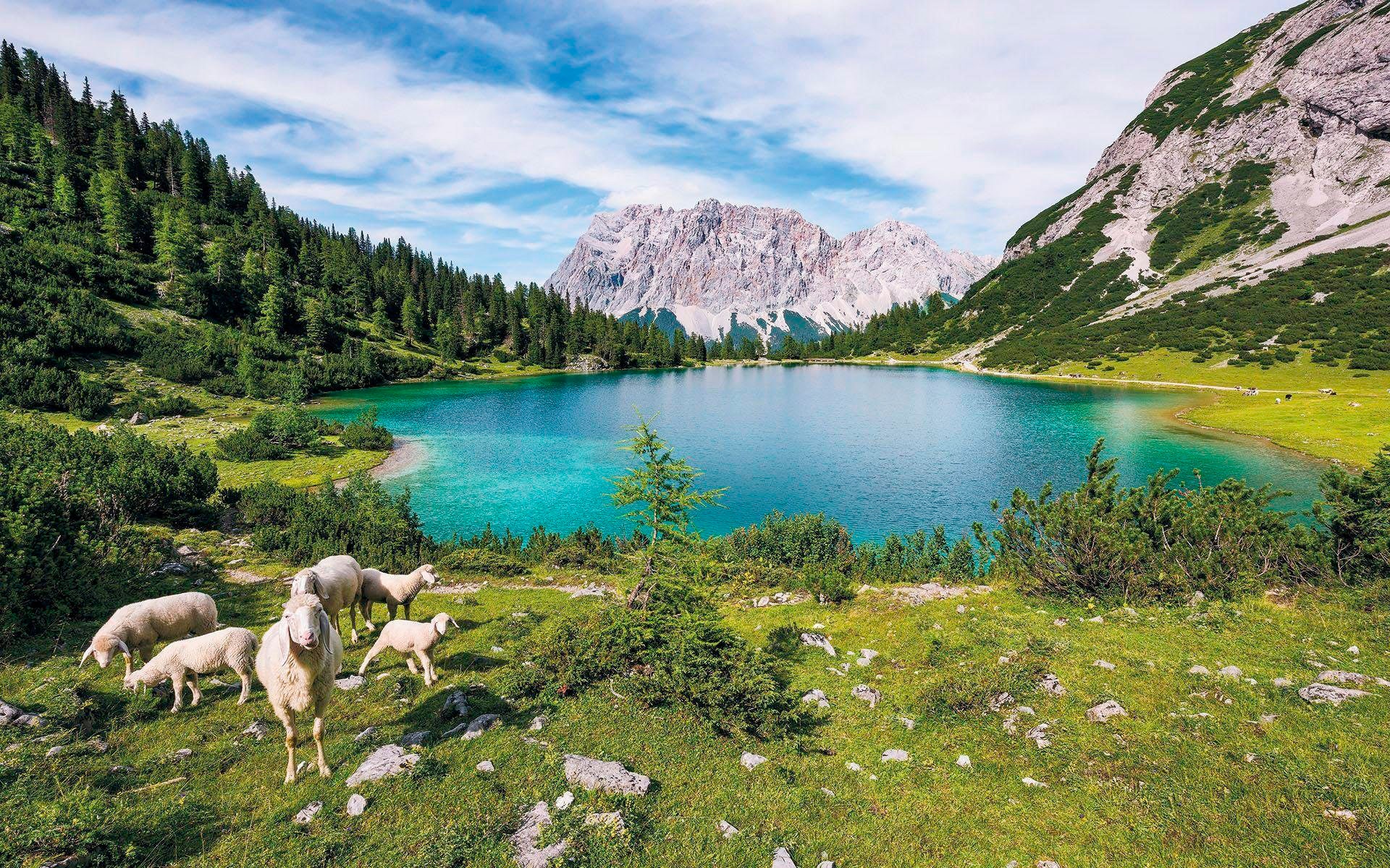 Komar Vliestapete "Digitaldruck Vlies - Paradise Lake - Größe 400 x 250 cm", bedruckt, Wohnzimmer, Schlafzimmer