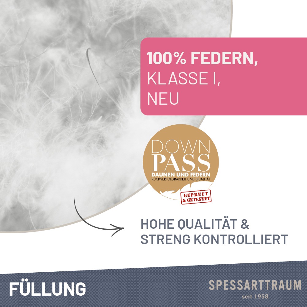 Thumbnail - SPESSARTTRAUM Federkissen "FIRST CLASS, Kopfkissen 1-tlg. oder 2-tlg. 40x80 oder 80x80 cm" Füllung: 100% Federn 2 Stk. t...