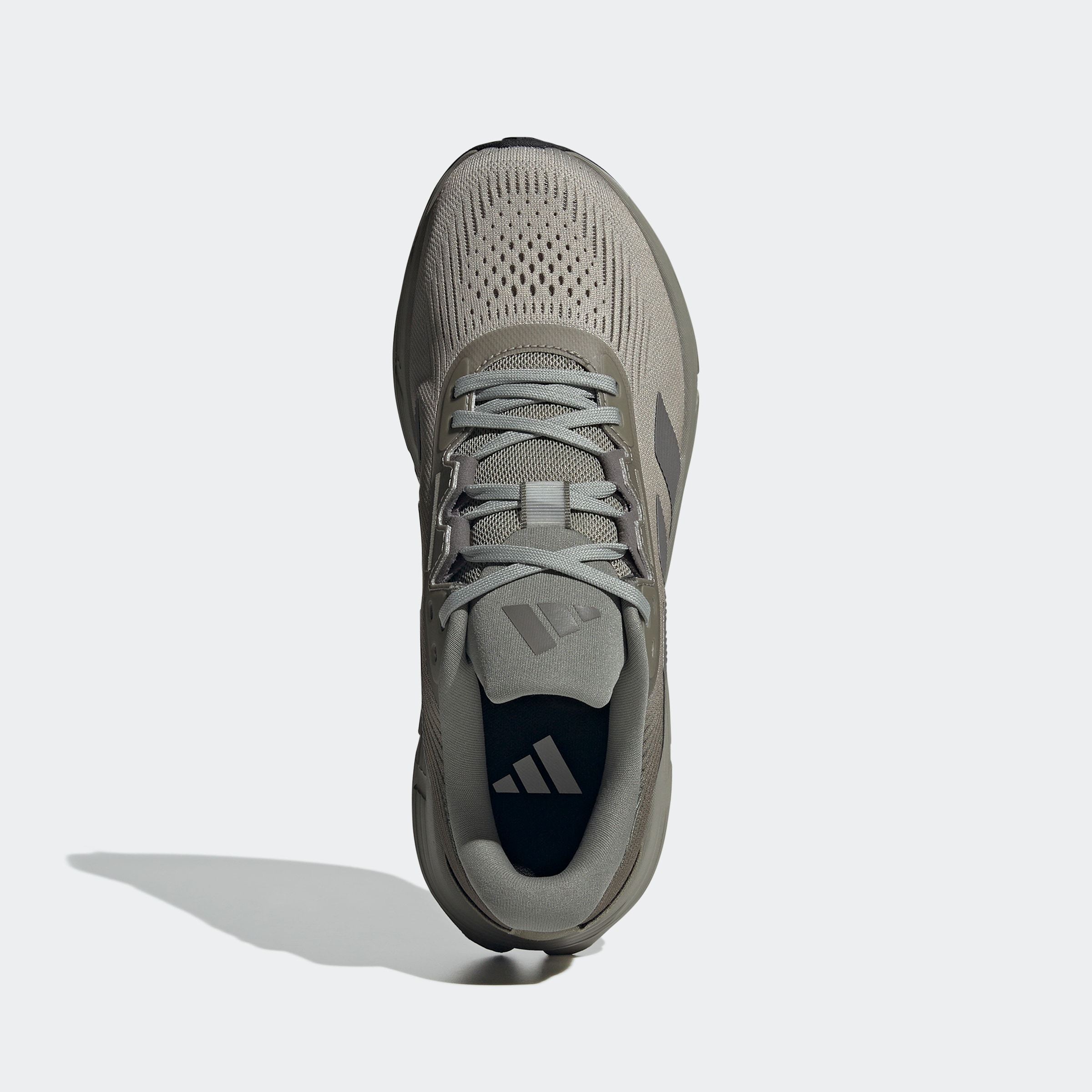 adidas Performance Laufschuh »QUESTAR 3«