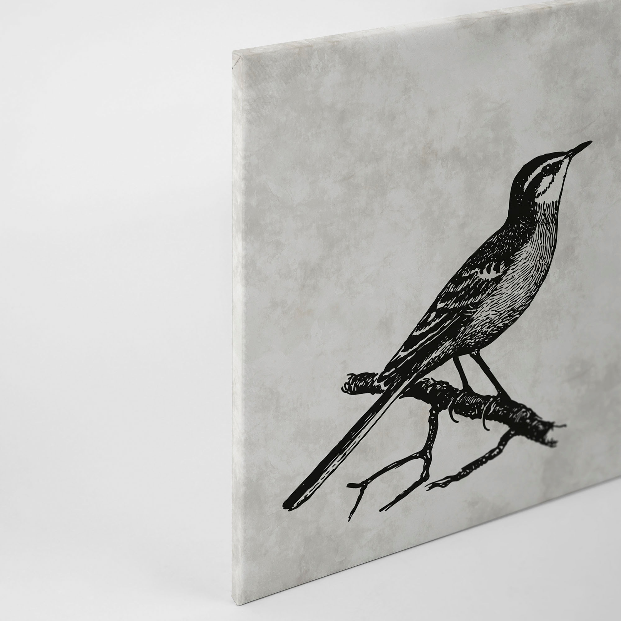 A.S. Création Leinwandbild »sketchpad 4«, Kunst-Vögel-Kinder, (1 St.), Schwarz-Weiß Zeichnung Vogel Keilrahmen Leinwand-Bild Wohnzimmer Wand