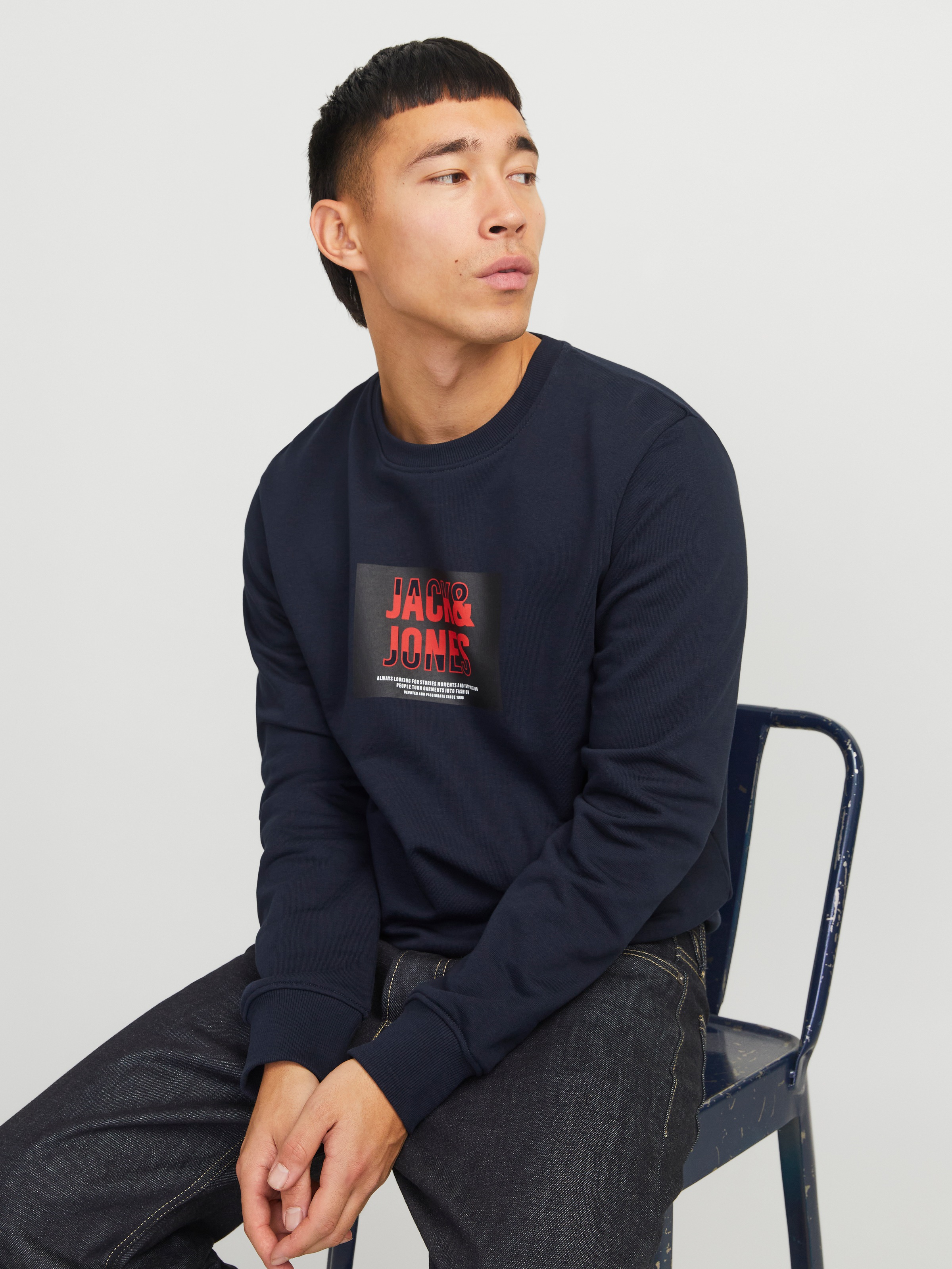 Jack & Jones Sweatshirt »JJHUDSON SWEAT CREW NECK«