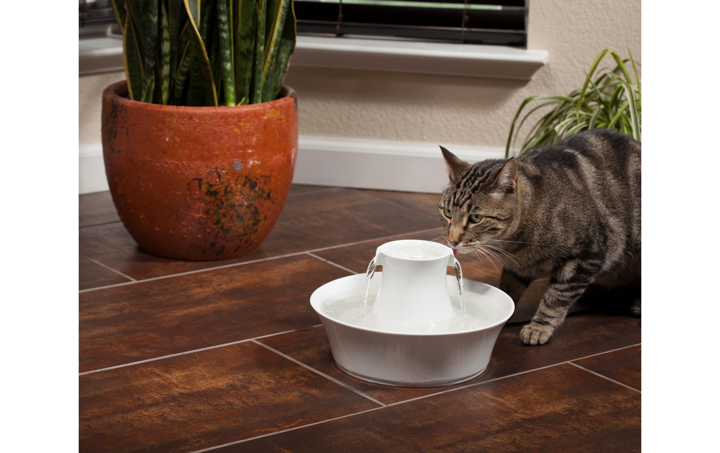 PetSafe Wasserspender »Drinkwell Keramik-Trinkbrunnen Avalon 2 l«