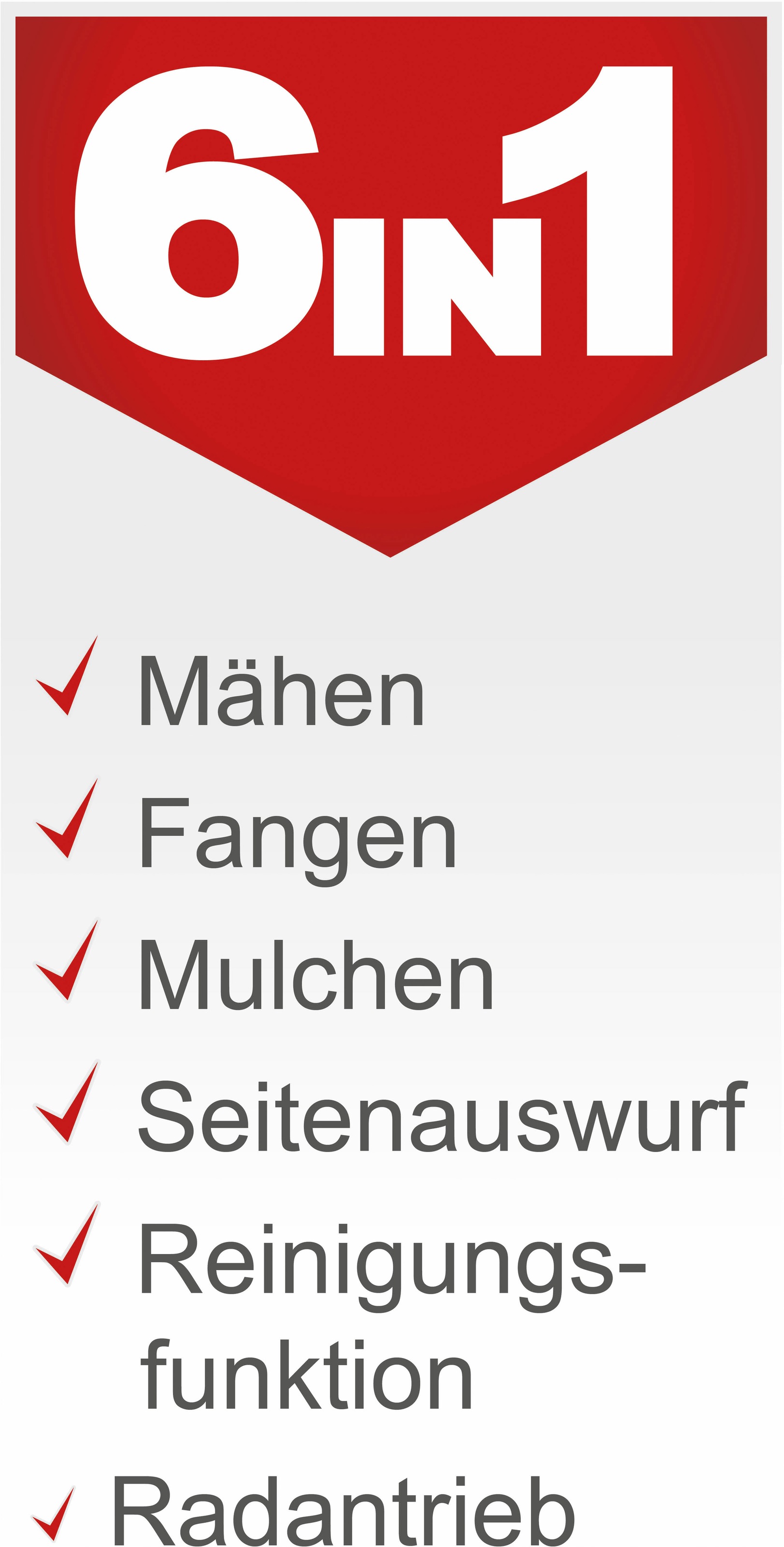 Scheppach Benzinrasenmäher »MS225-56«