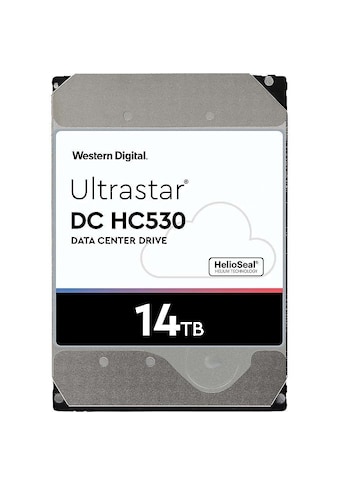 Western Digital Interne HDD-Festplatte »DC HC530«